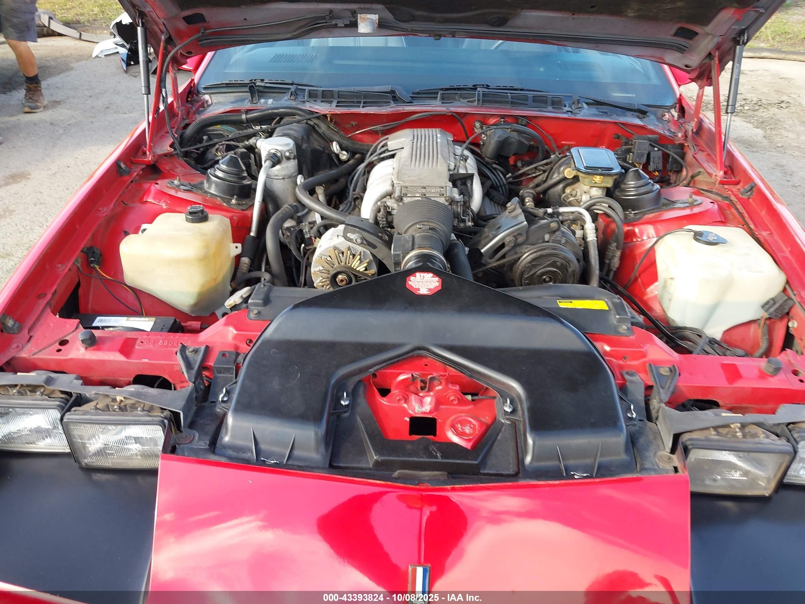 1986 Chevrolet Camaro   Red vin: 1G1FP87F0GL156197