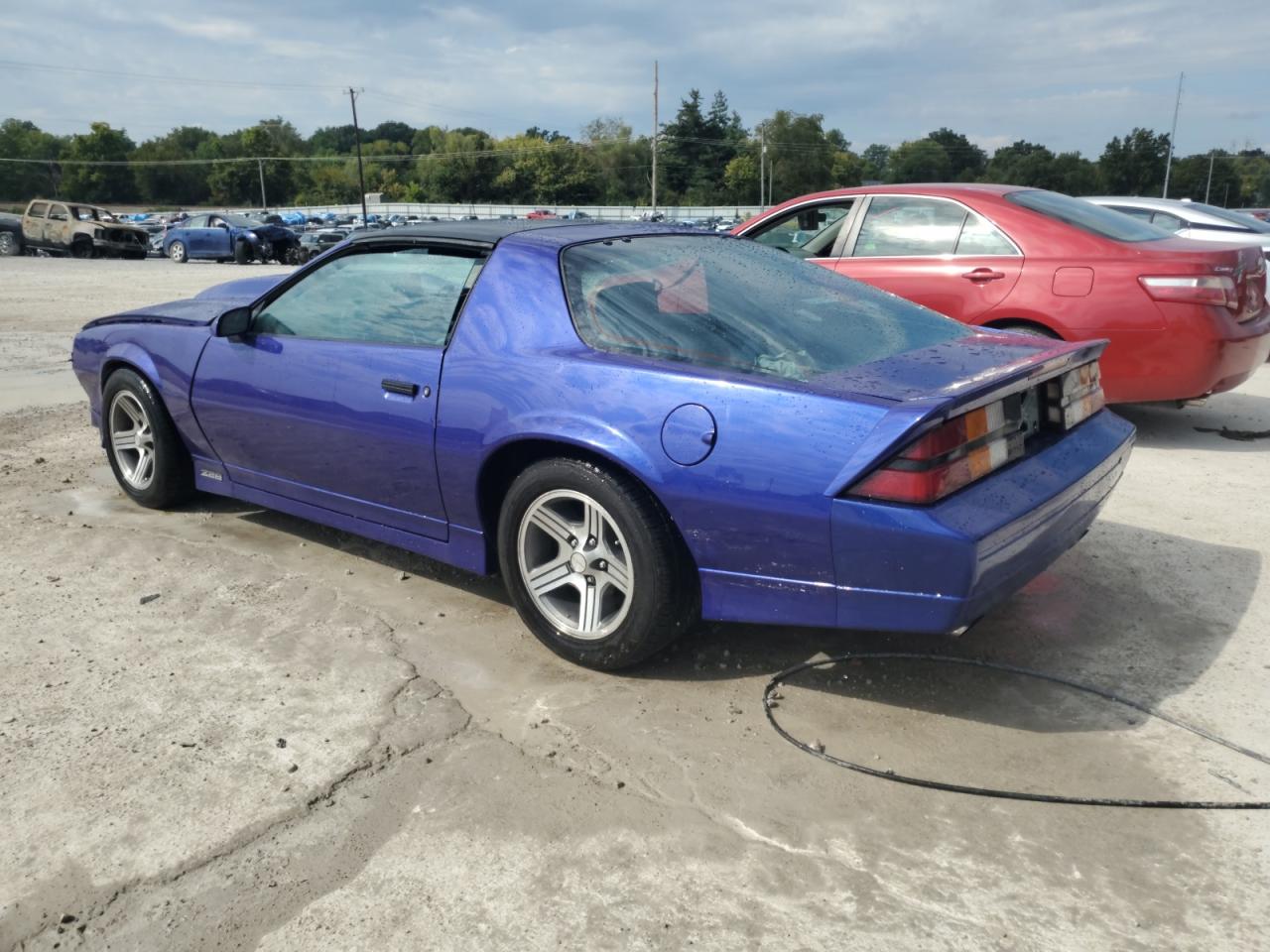 1986 Chevrolet Camaro Purple vin: 1G1FP87F3GN154710
