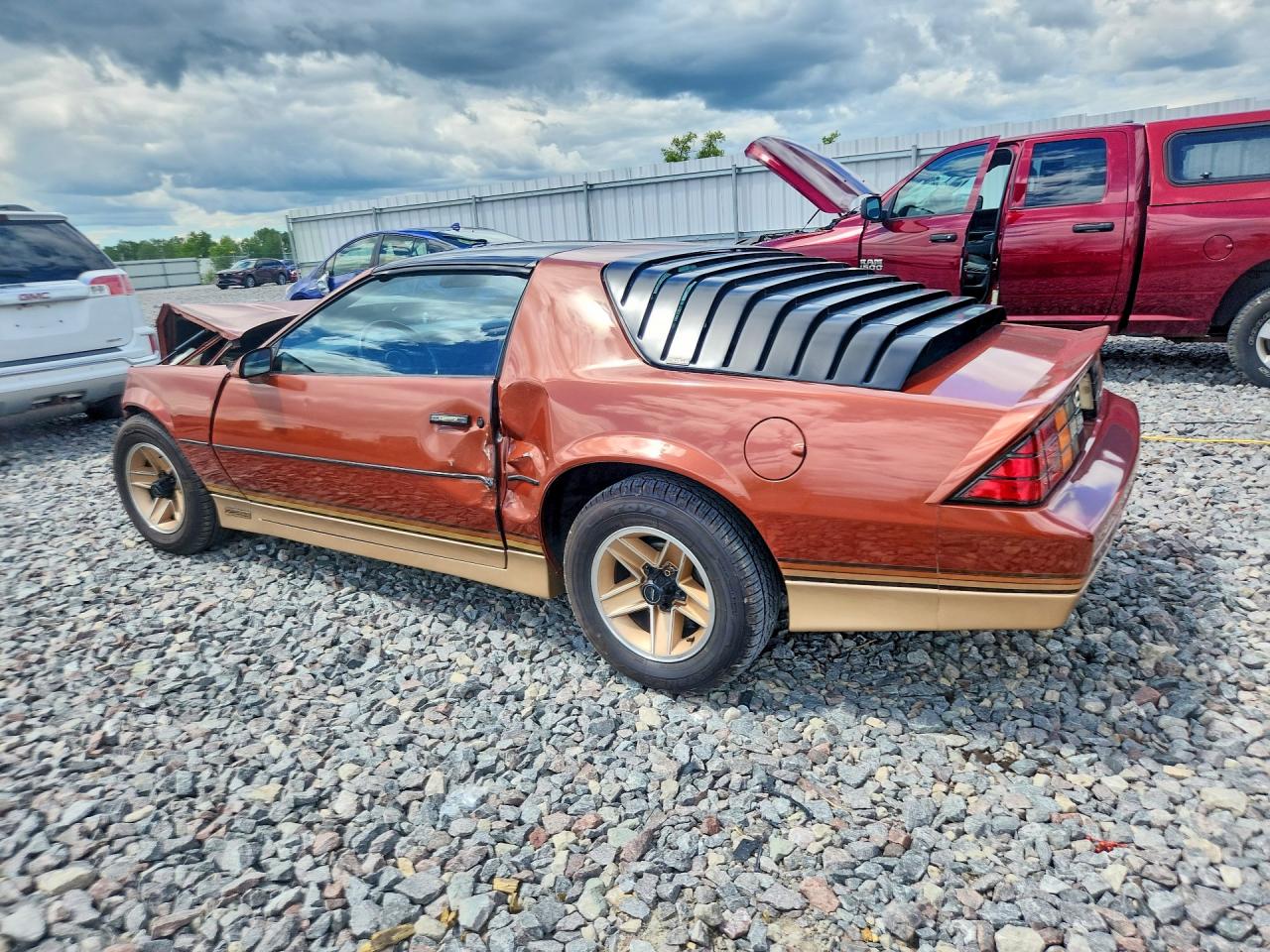 1985 Chevrolet Camaro Brown vin: 1G1FP87H3FL471852