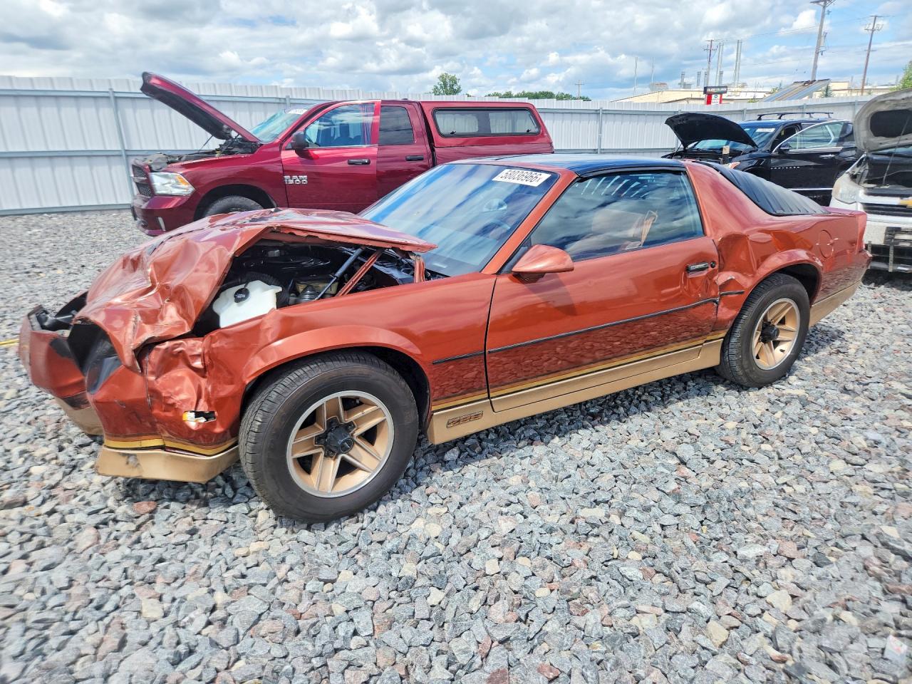 1985 Chevrolet Camaro Brown vin: 1G1FP87H3FL471852