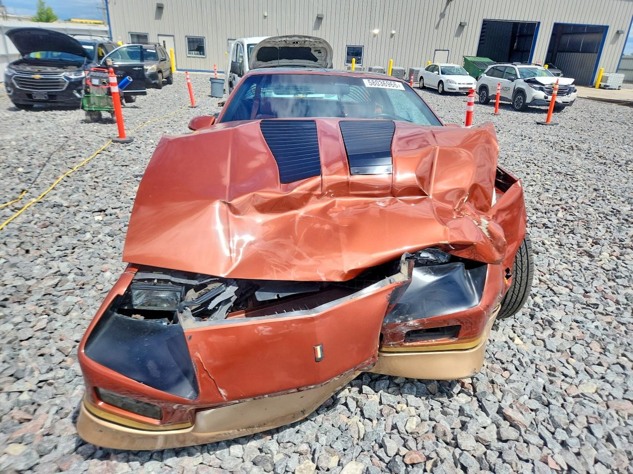 1985 Chevrolet Camaro Brown vin: 1G1FP87H3FL471852