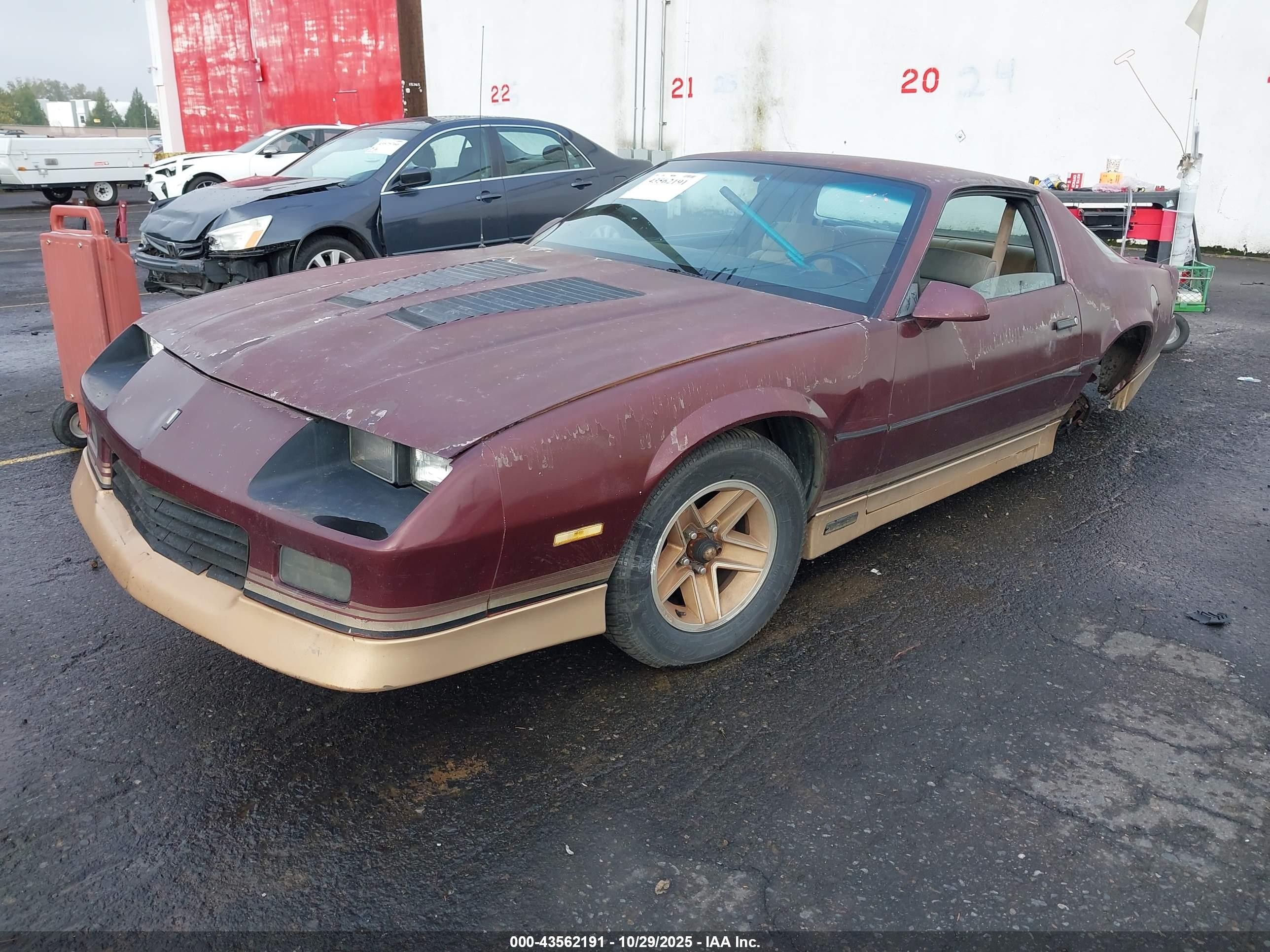 1985 Chevrolet Camaro   Brown vin: 1G1FP87H7FL432696