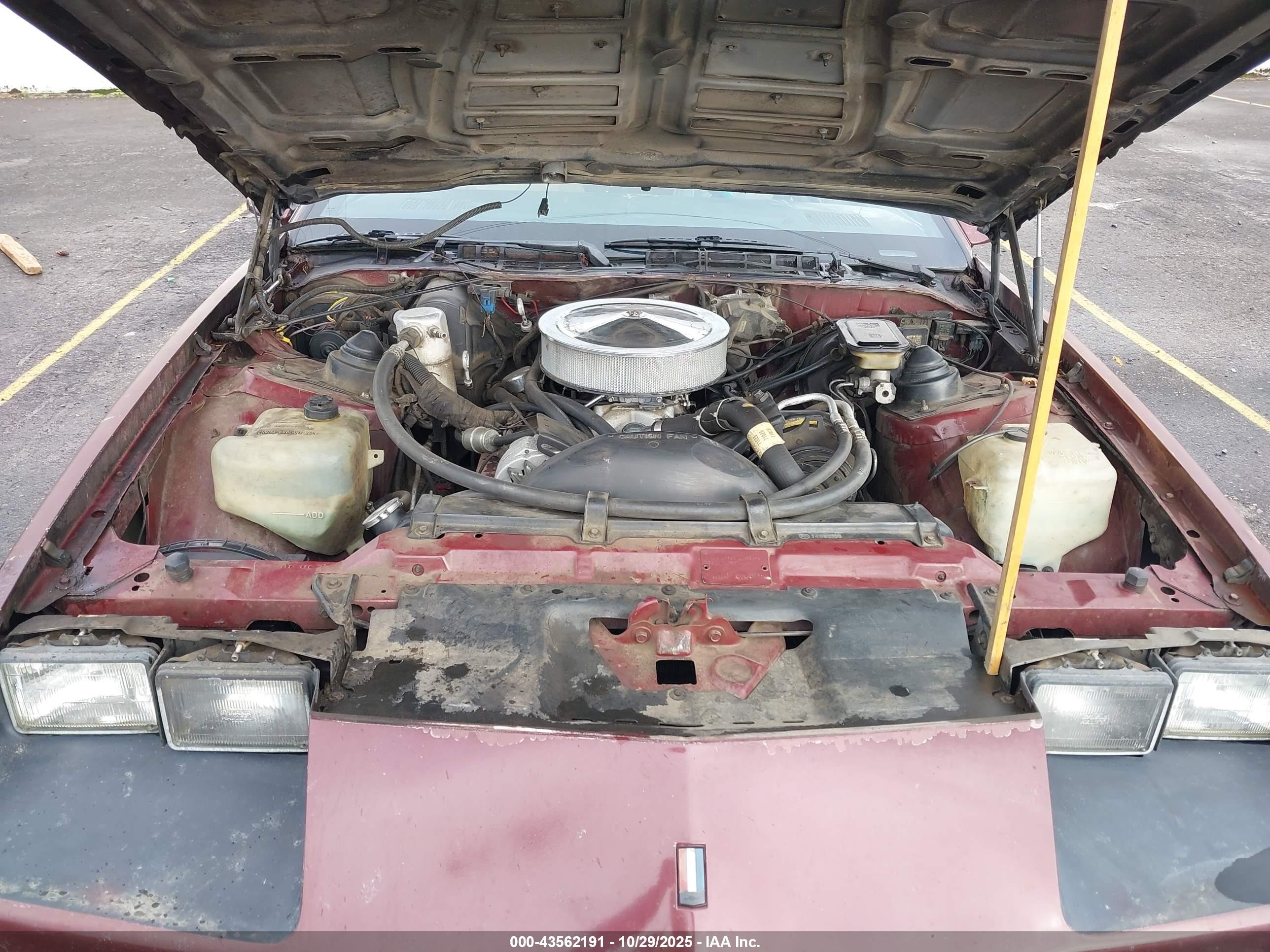 1985 Chevrolet Camaro   Brown vin: 1G1FP87H7FL432696