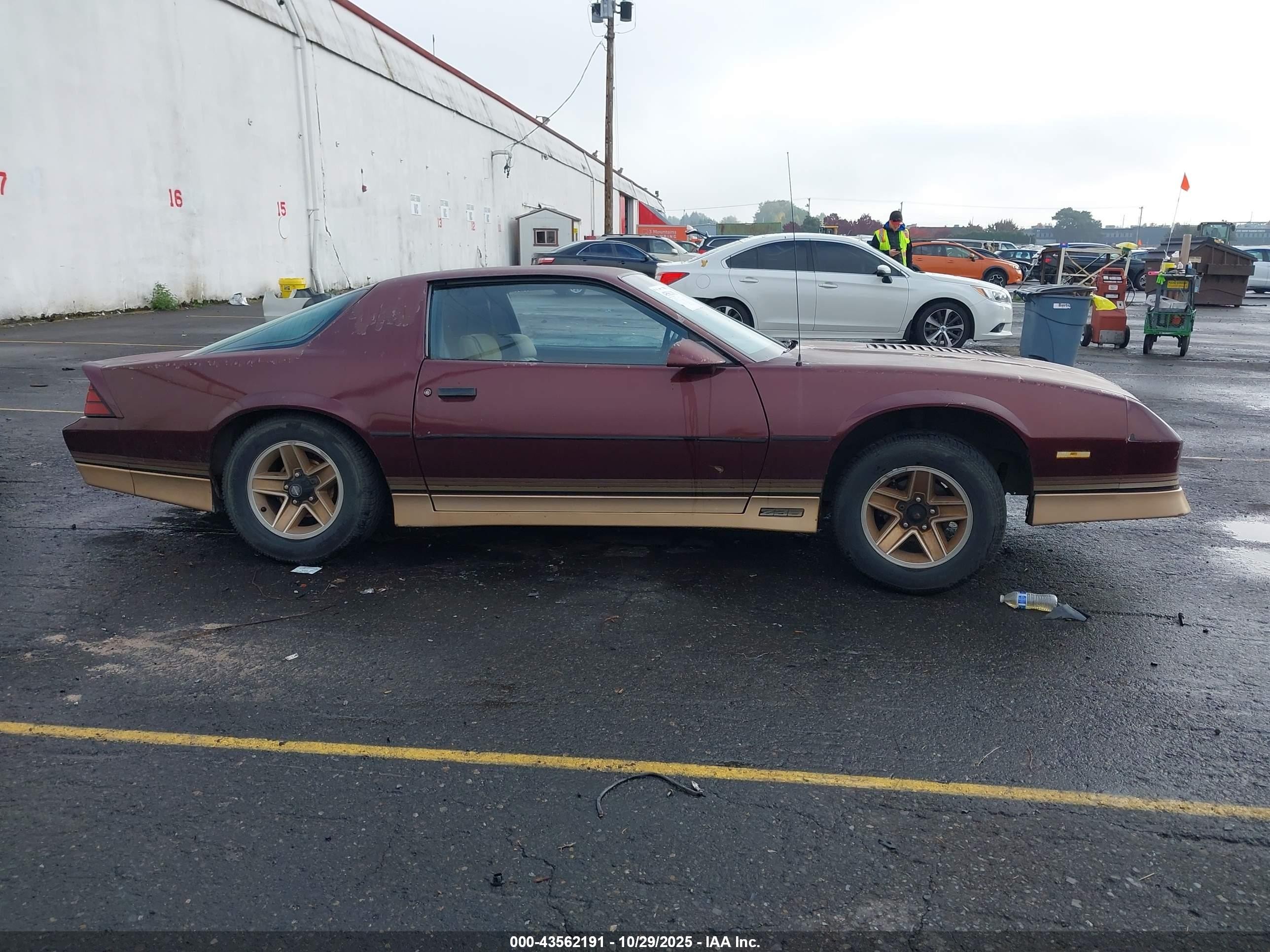 1985 Chevrolet Camaro   Brown vin: 1G1FP87H7FL432696