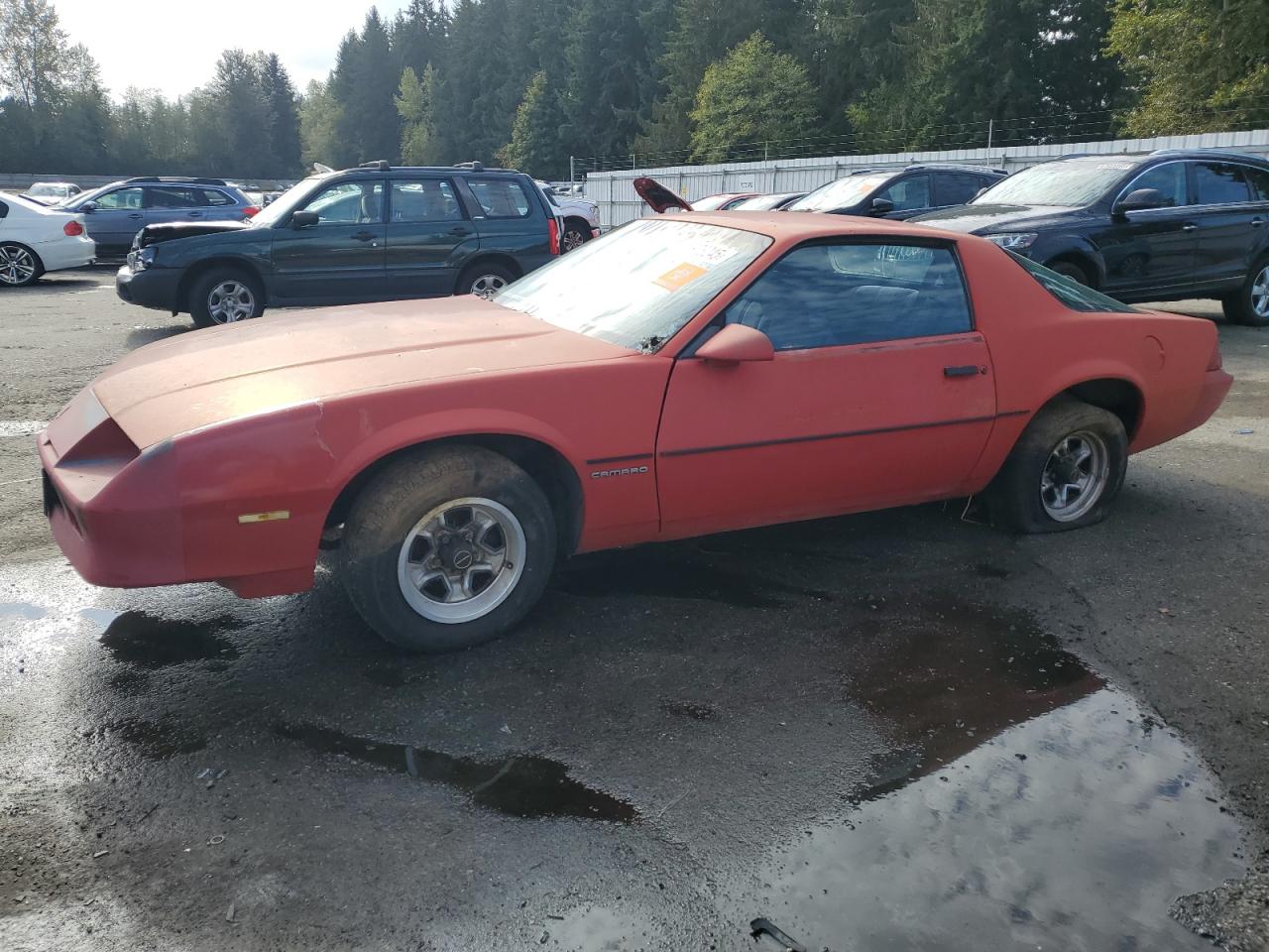 1985 Chevrolet Camaro Red vin: 1G1FP87S2FL414022
