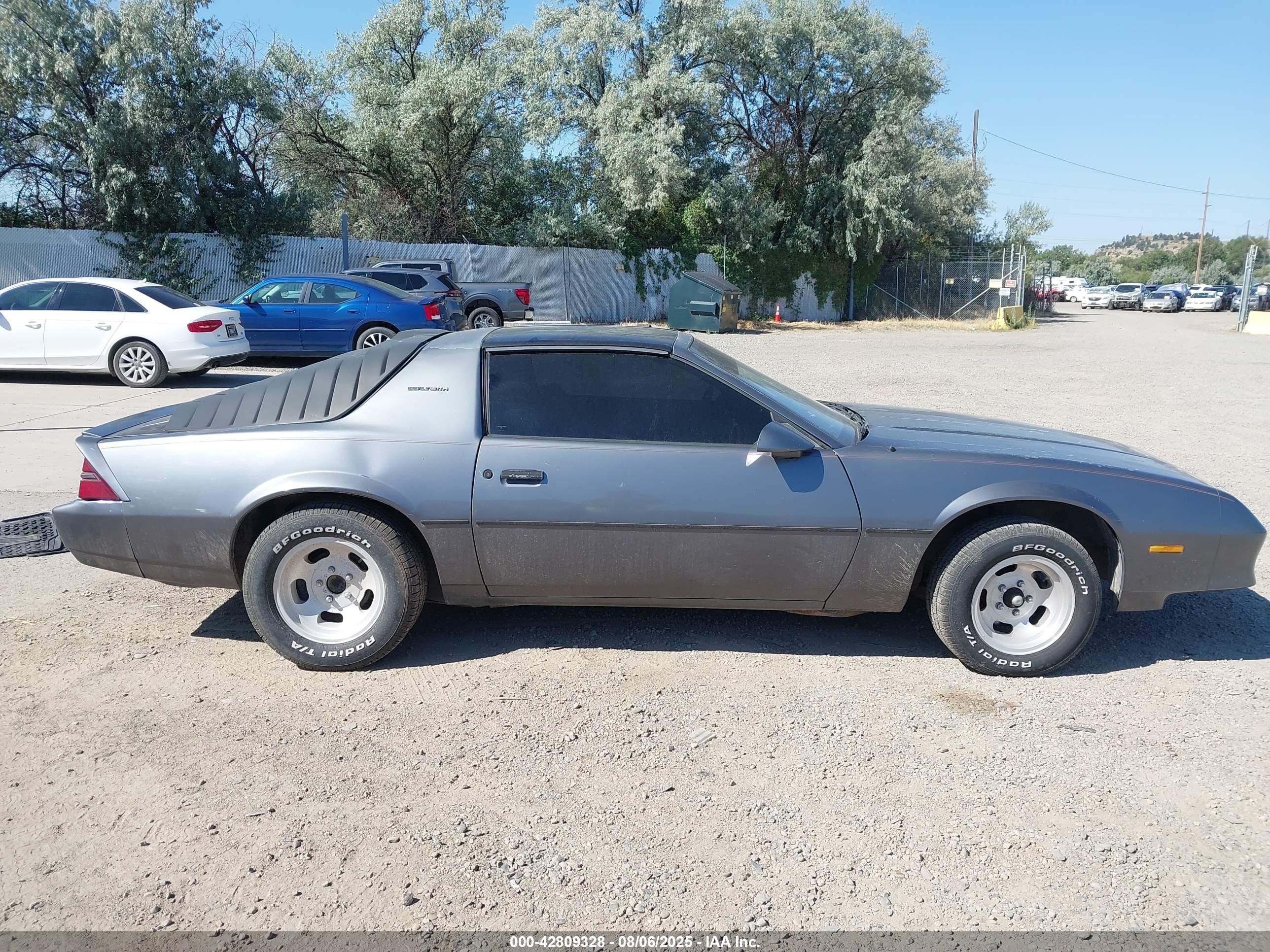 1986 Chevrolet Camaro Berlinetta Gray vin: 1G1FS87H1GL139148