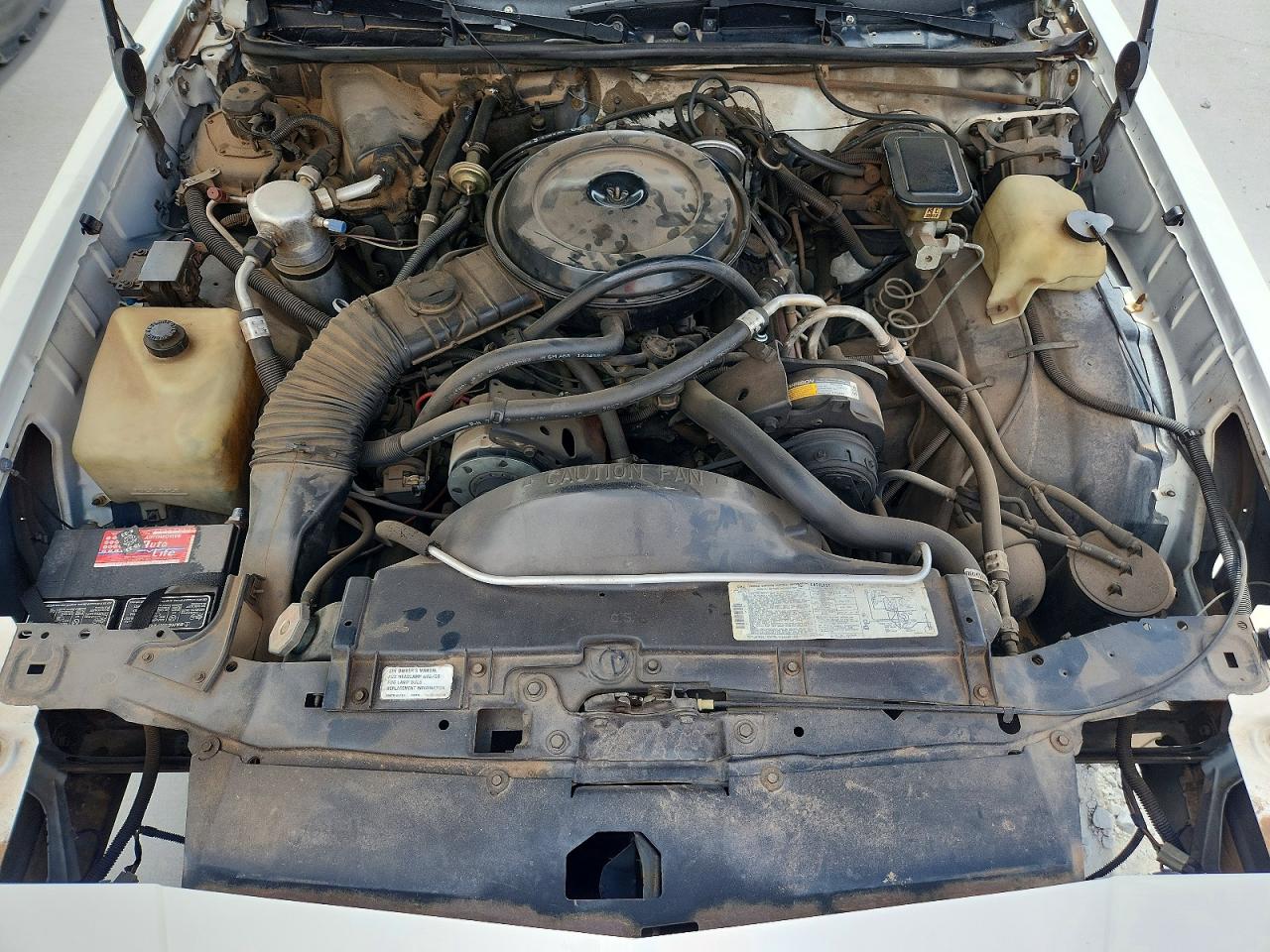 1988 Chevrolet Monte Carlo White vin: 1G1GZ11G5JP129276