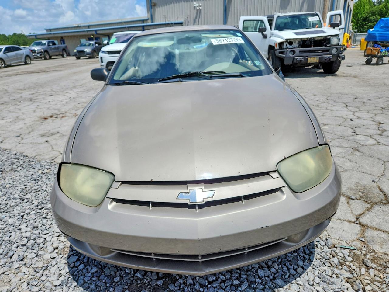 2004 Chevrolet Cavalier Желто-коричневый vin: 1G1JC12F147168626
