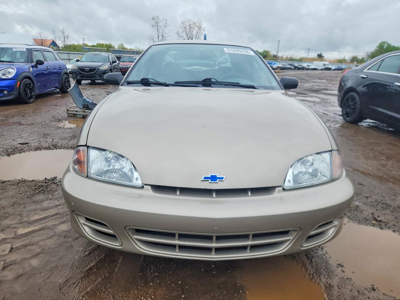 2001 Chevrolet Cavalier Gold vin: 1G1JC524217410664