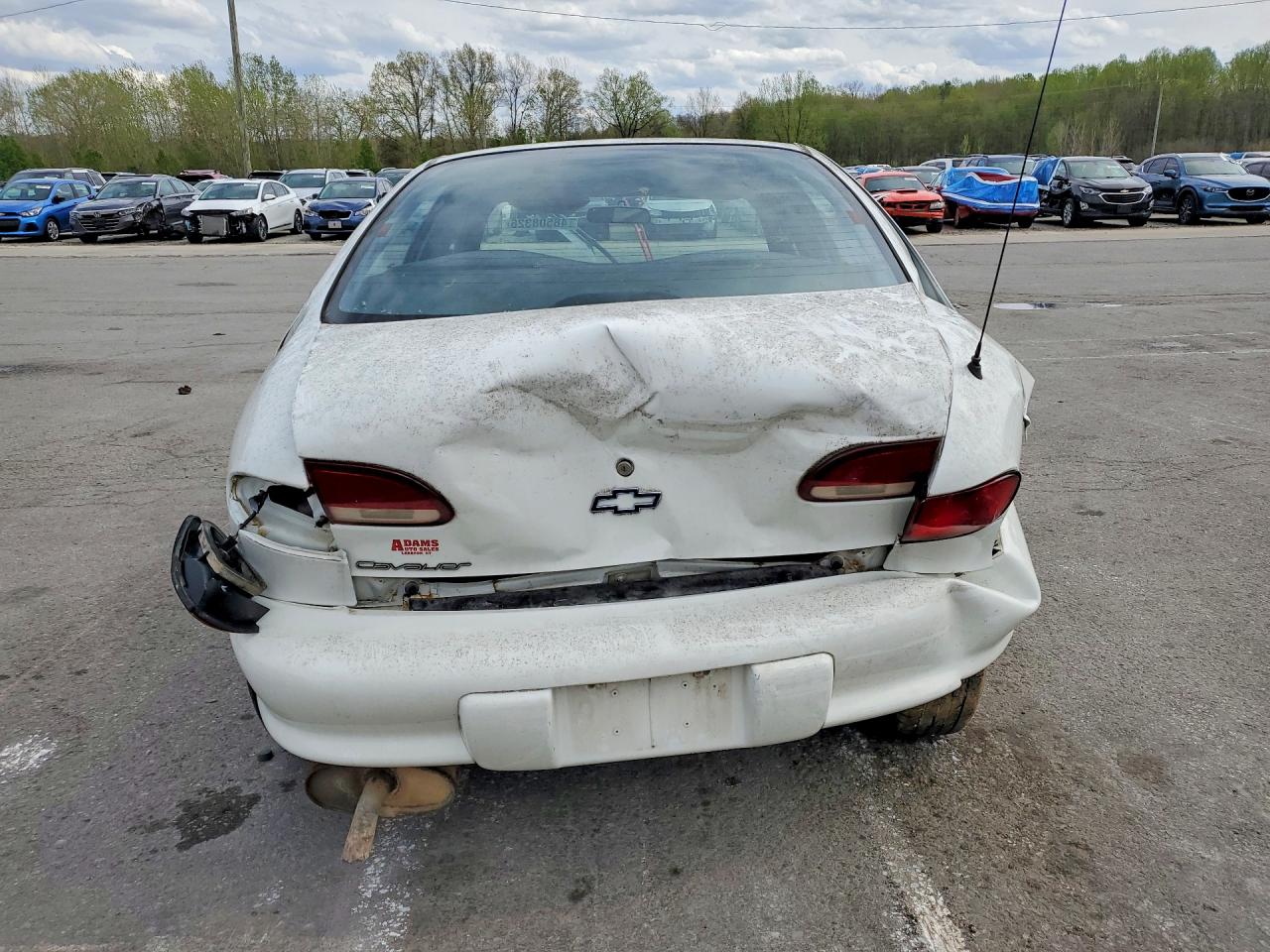 1999 Chevrolet Cavalier 4d White vin: 1G1JC5242X7300917