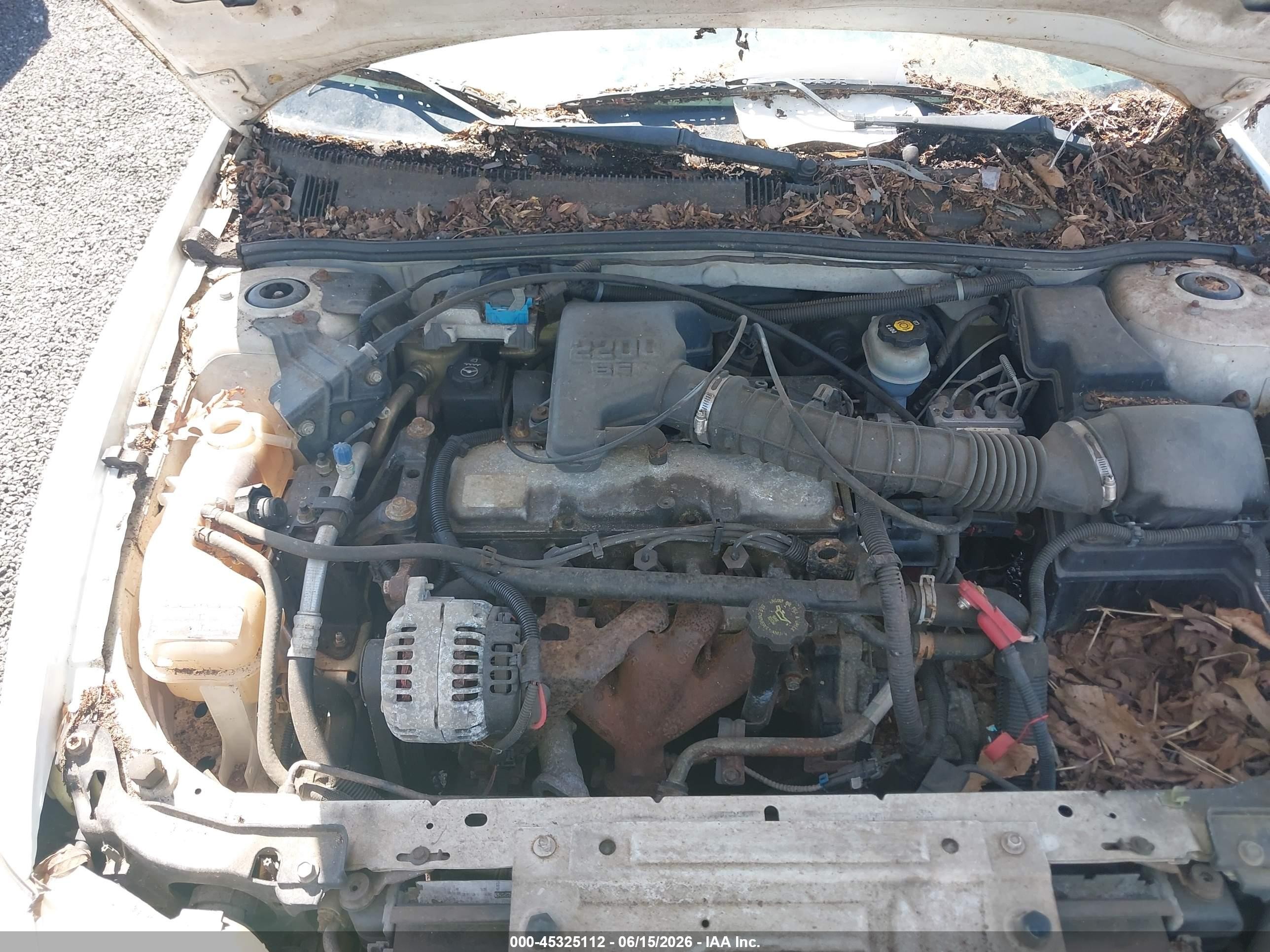 2002 Chevrolet Cavalier   Белый vin: 1G1JC524427475811