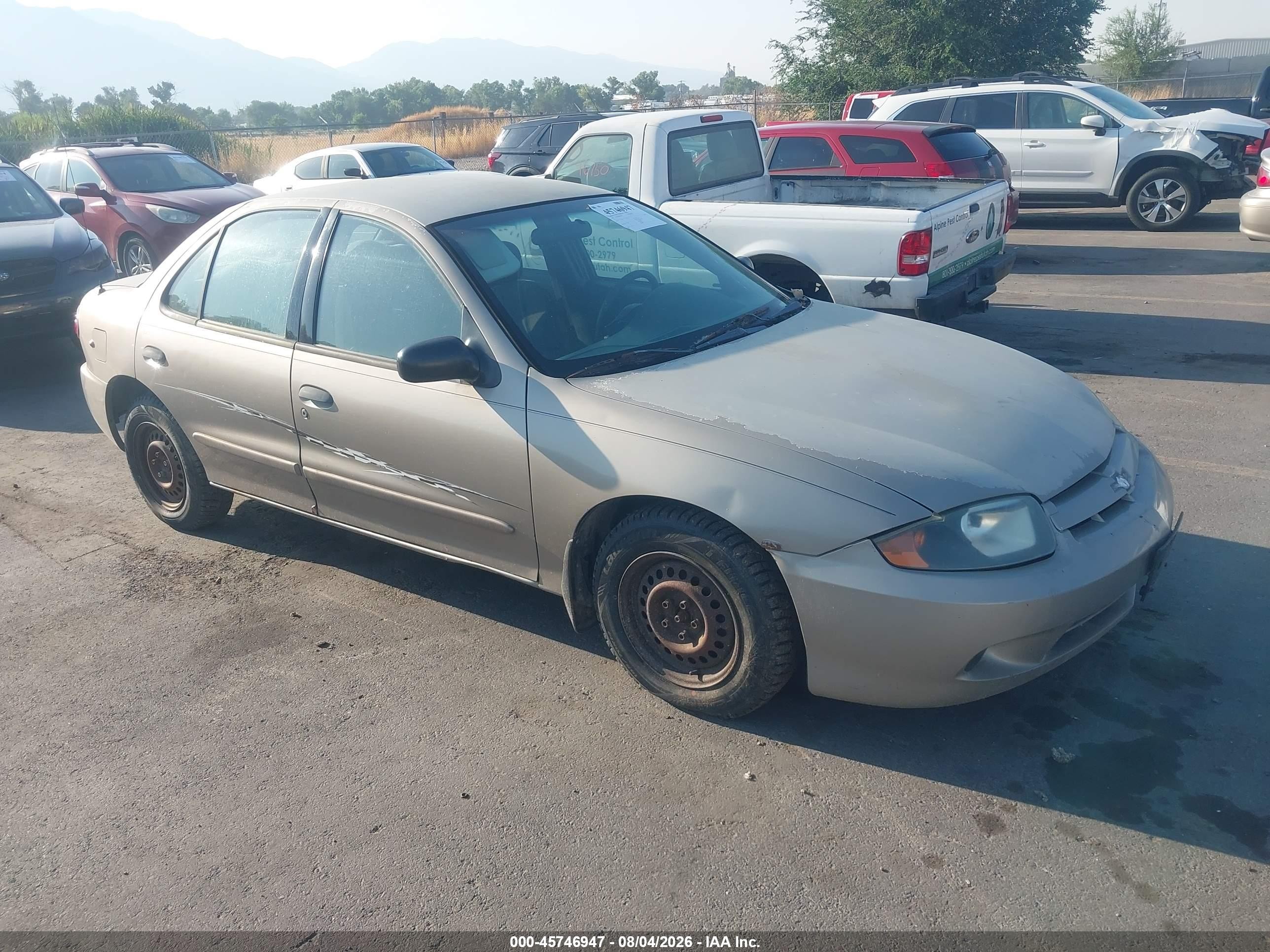 2004 Chevrolet Cavalier   Brown vin: 1G1JC52F247117840