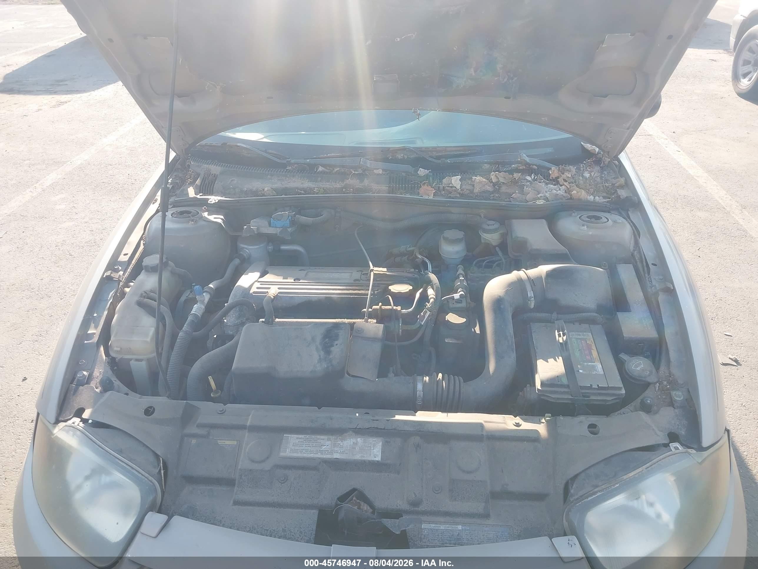 2004 Chevrolet Cavalier   Brown vin: 1G1JC52F247117840