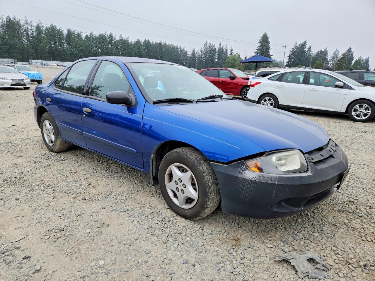 2005 Chevrolet Cavalier Blue vin: 1G1JC52F657140510