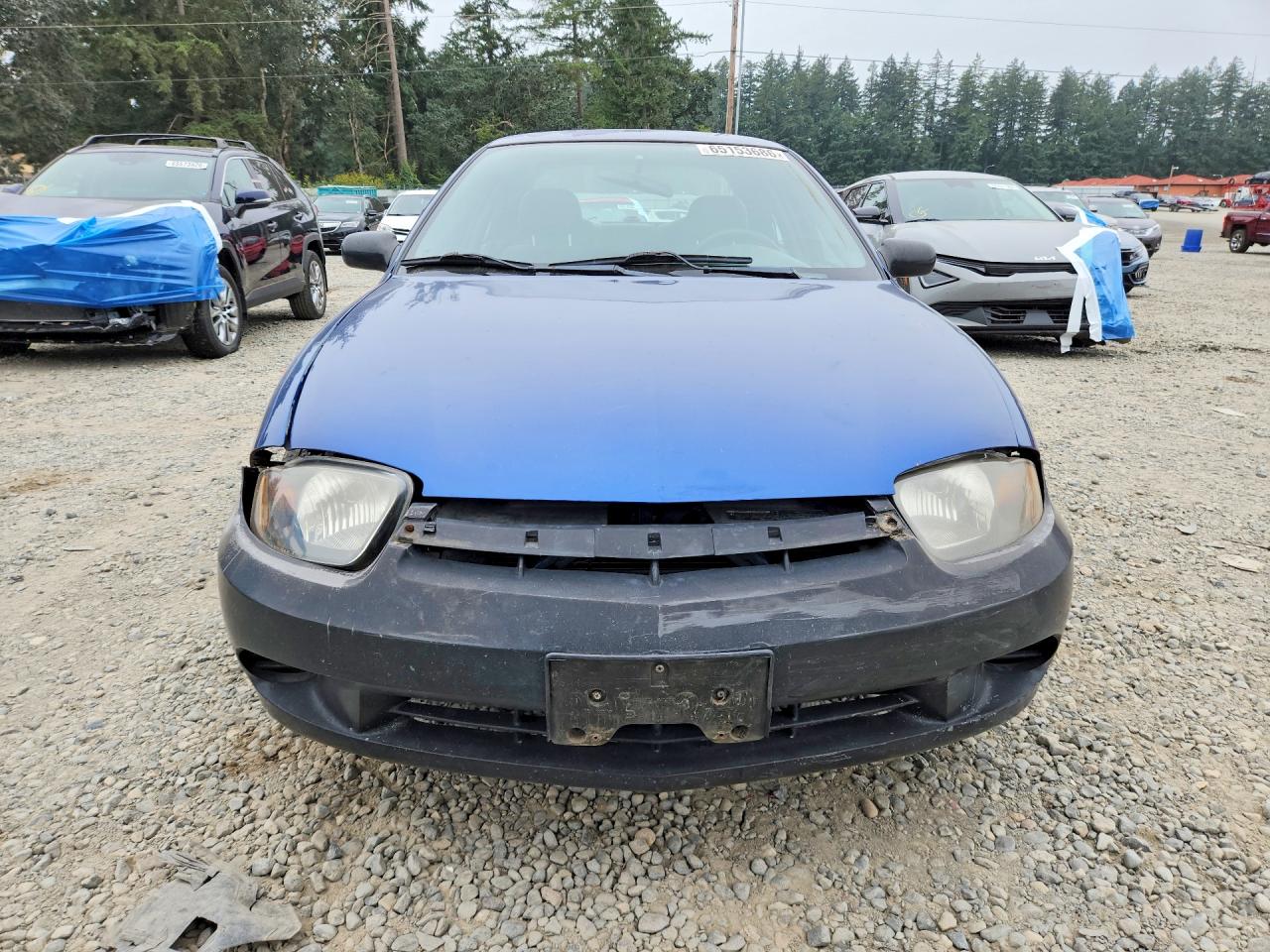 2005 Chevrolet Cavalier Blue vin: 1G1JC52F657140510