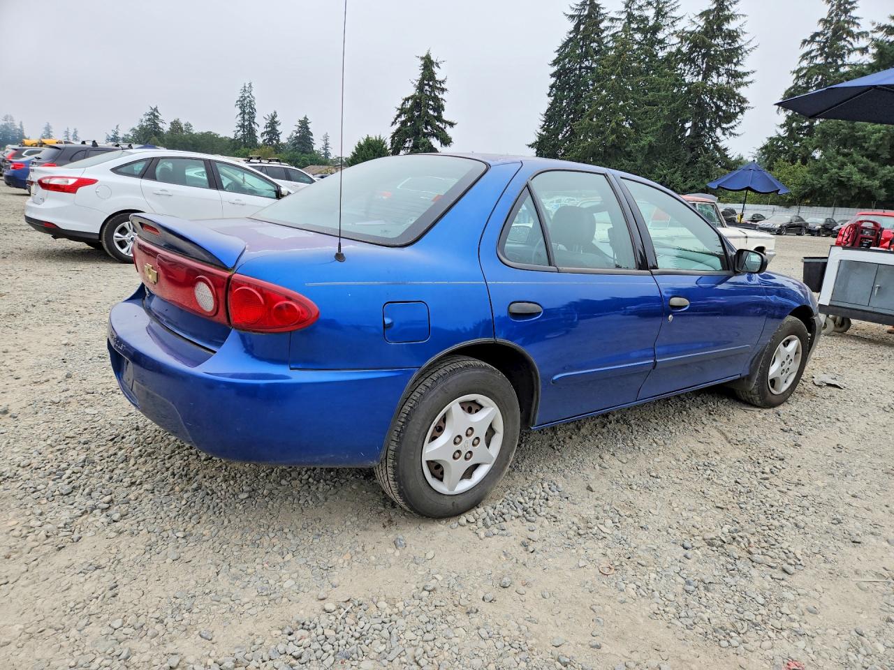 2005 Chevrolet Cavalier Blue vin: 1G1JC52F657140510