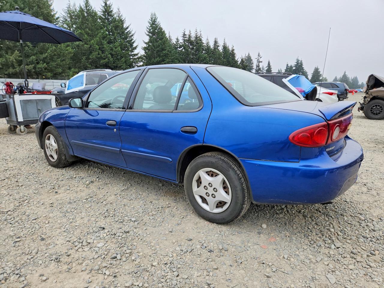 2005 Chevrolet Cavalier Blue vin: 1G1JC52F657140510