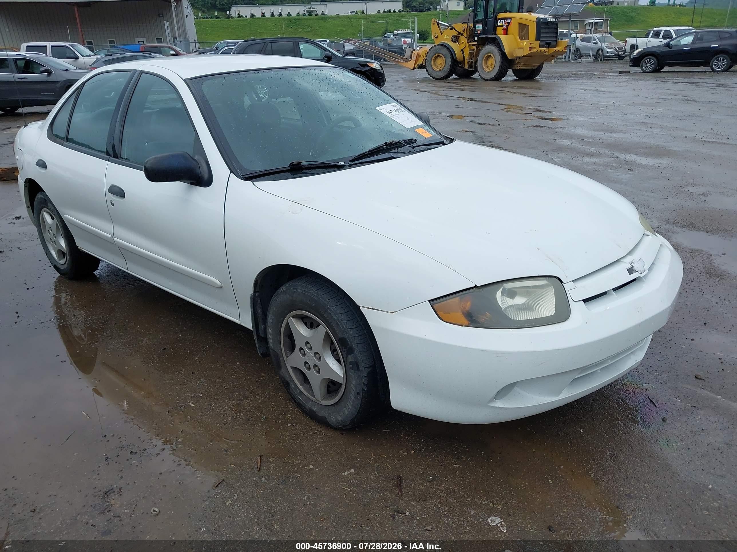 2004 Chevrolet Cavalier   Белый vin: 1G1JC52F847338357