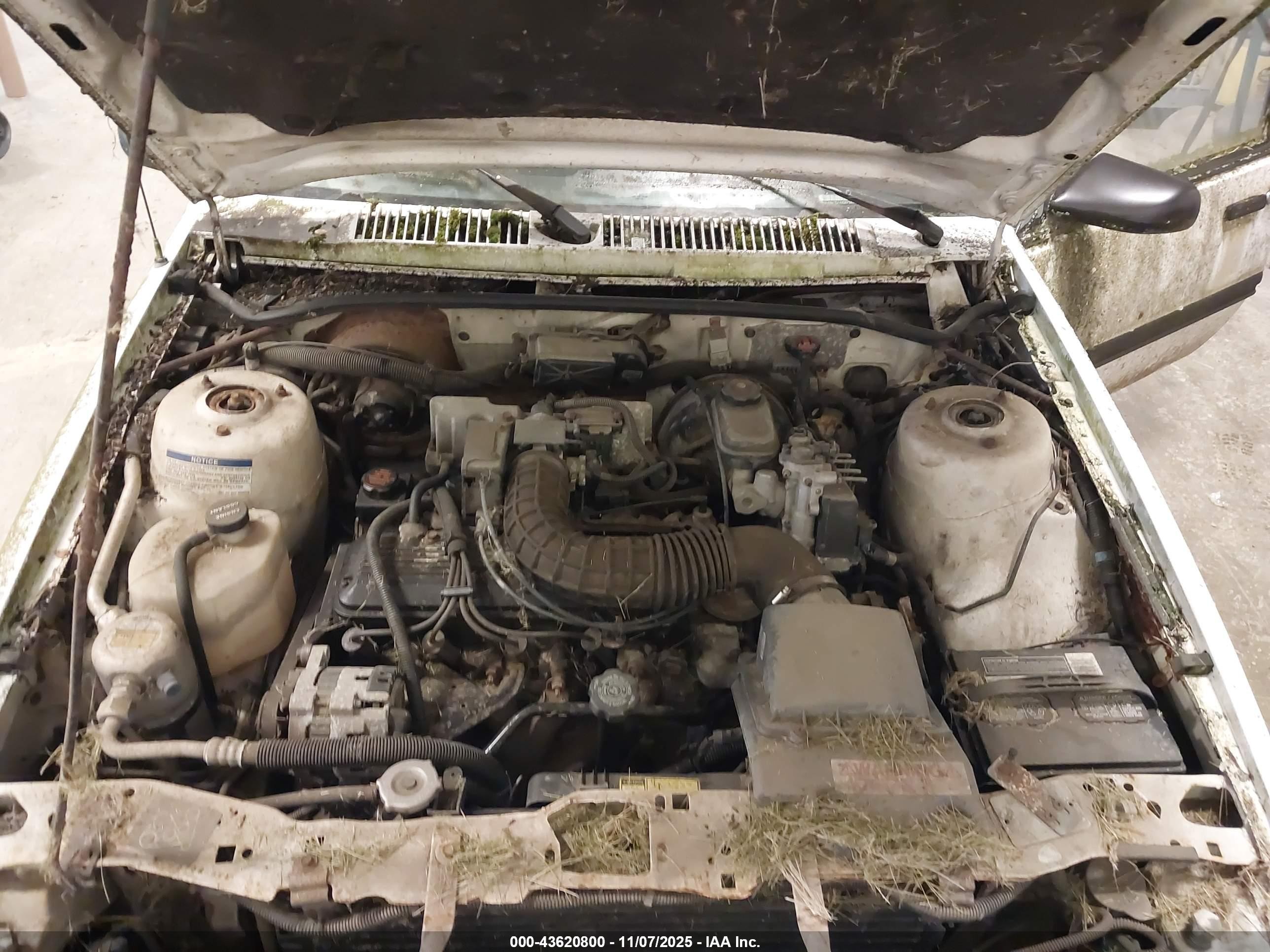 1994 Chevrolet Cavalier Vl/rs White vin: 1G1JC5443R7366053