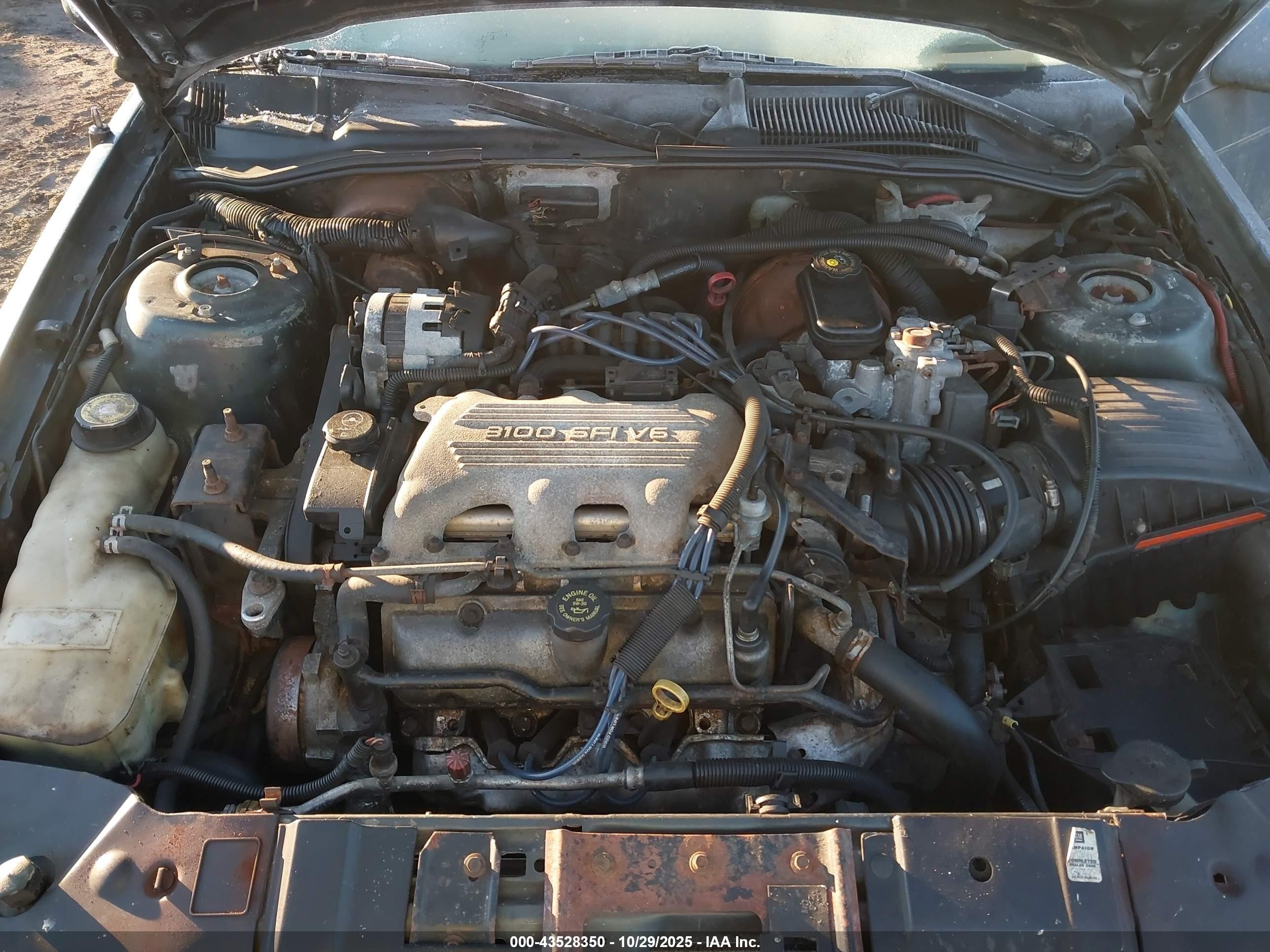 1996 Chevrolet Corsica   Turquoise vin: 1G1LD55M2TY102389