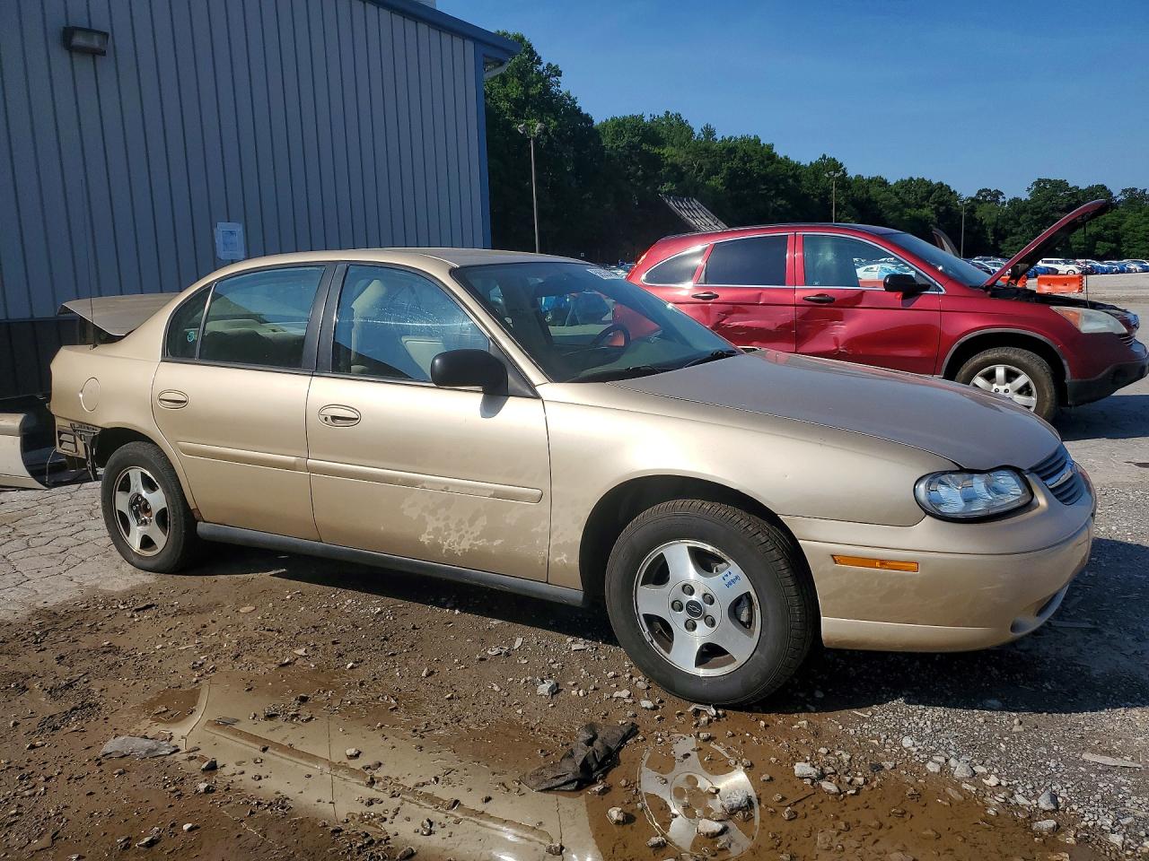 2004 Chevrolet Classic Tan vin: 1G1ND52F04M707292