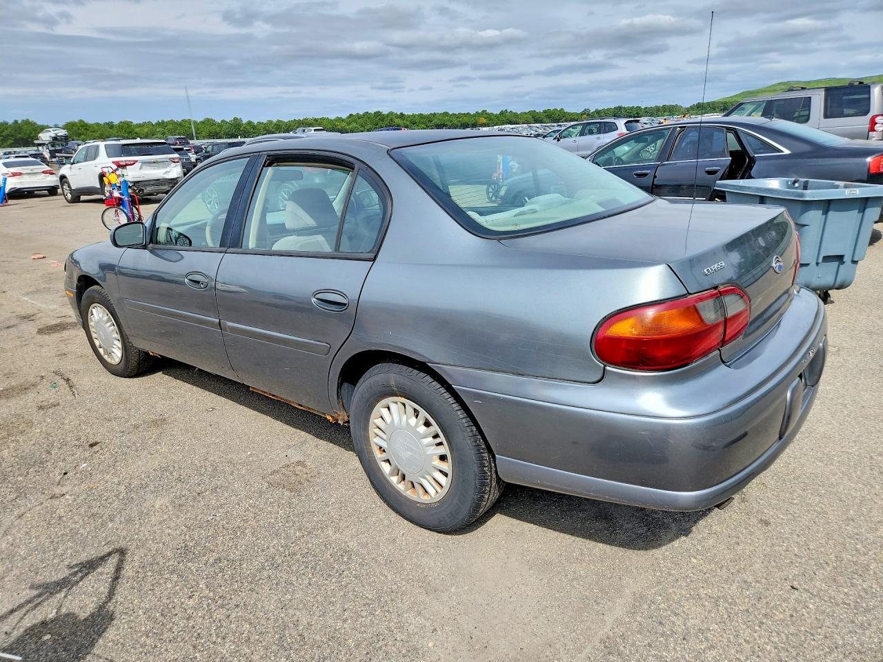 2005 Chevrolet Classic Gray vin: 1G1ND52F05M181411