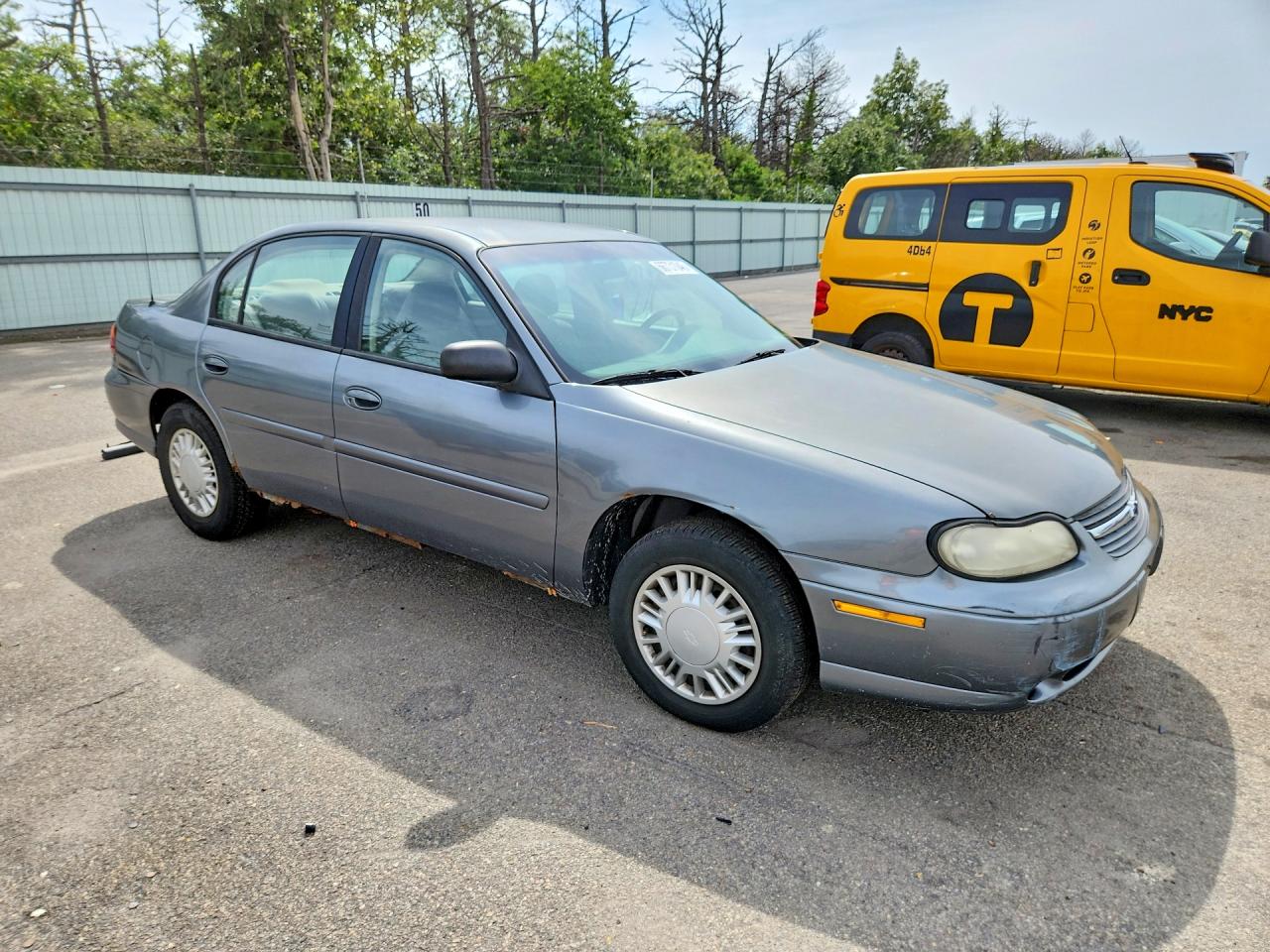 2005 Chevrolet Classic Gray vin: 1G1ND52F05M181411
