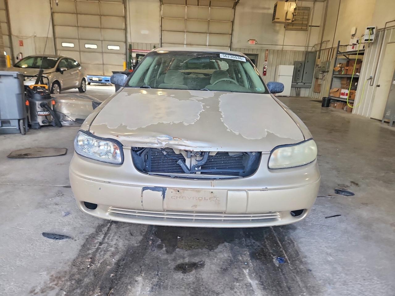 2004 Chevrolet Classic Gold vin: 1G1ND52F14M651783