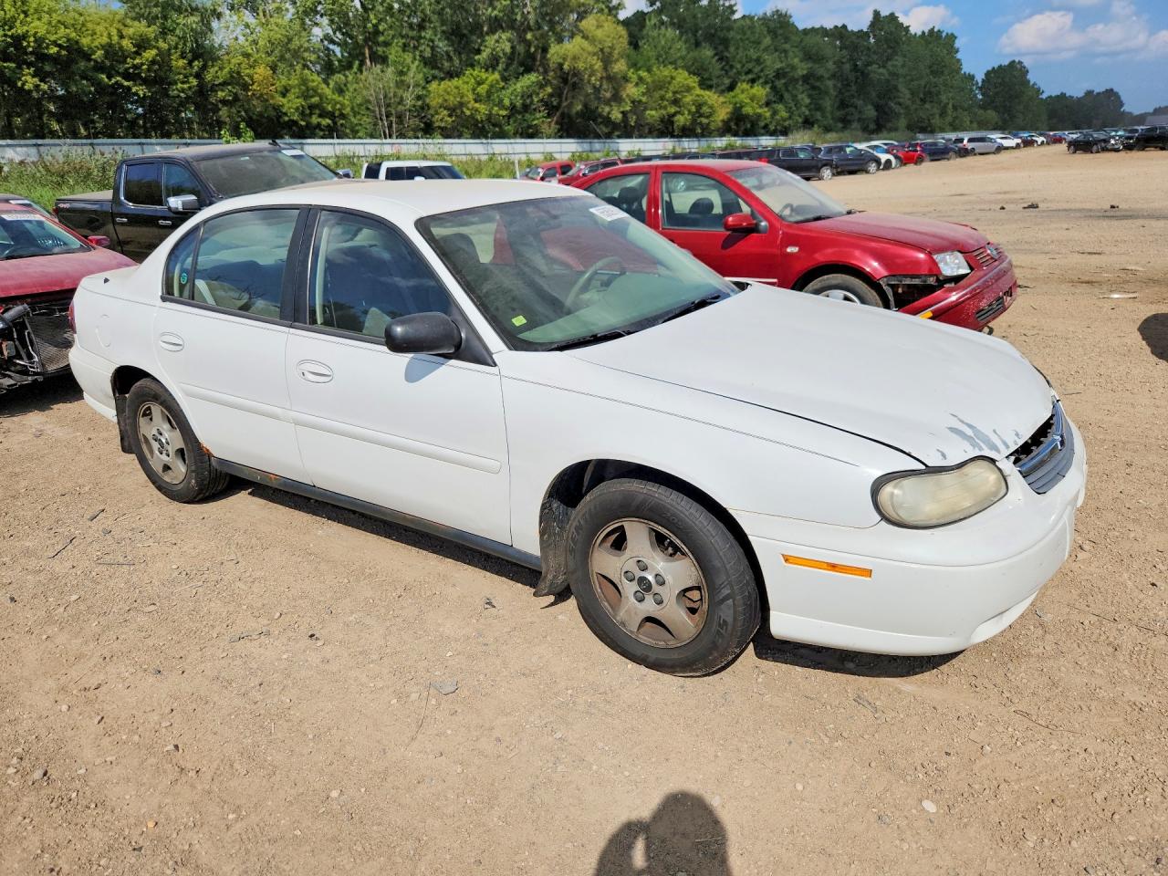 2005 Chevrolet Classic Белый vin: 1G1ND52F15M106751