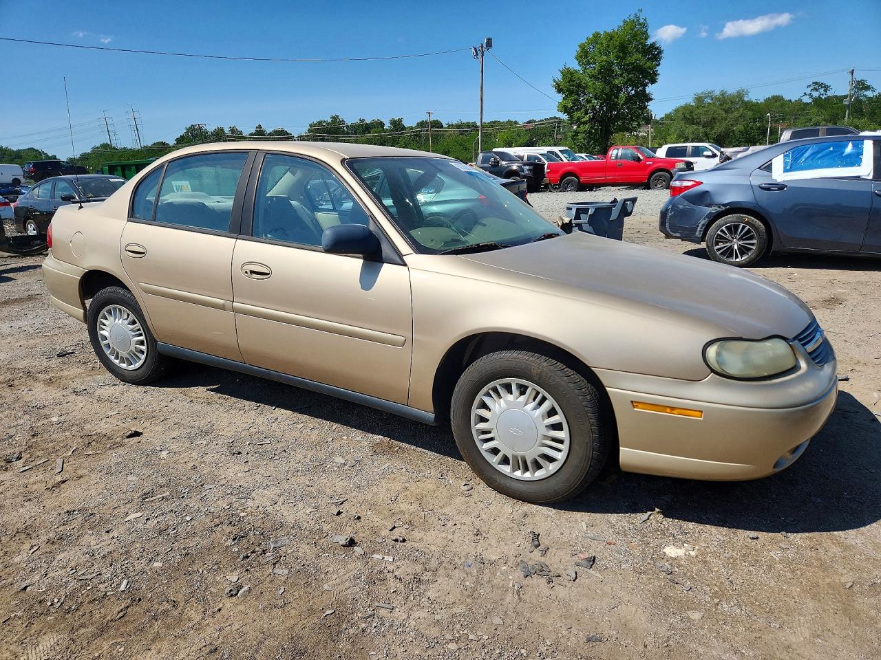 2005 Chevrolet Classic Gold vin: 1G1ND52F25M196119