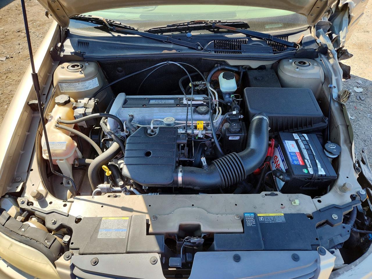 2005 Chevrolet Classic Gold vin: 1G1ND52F25M196119