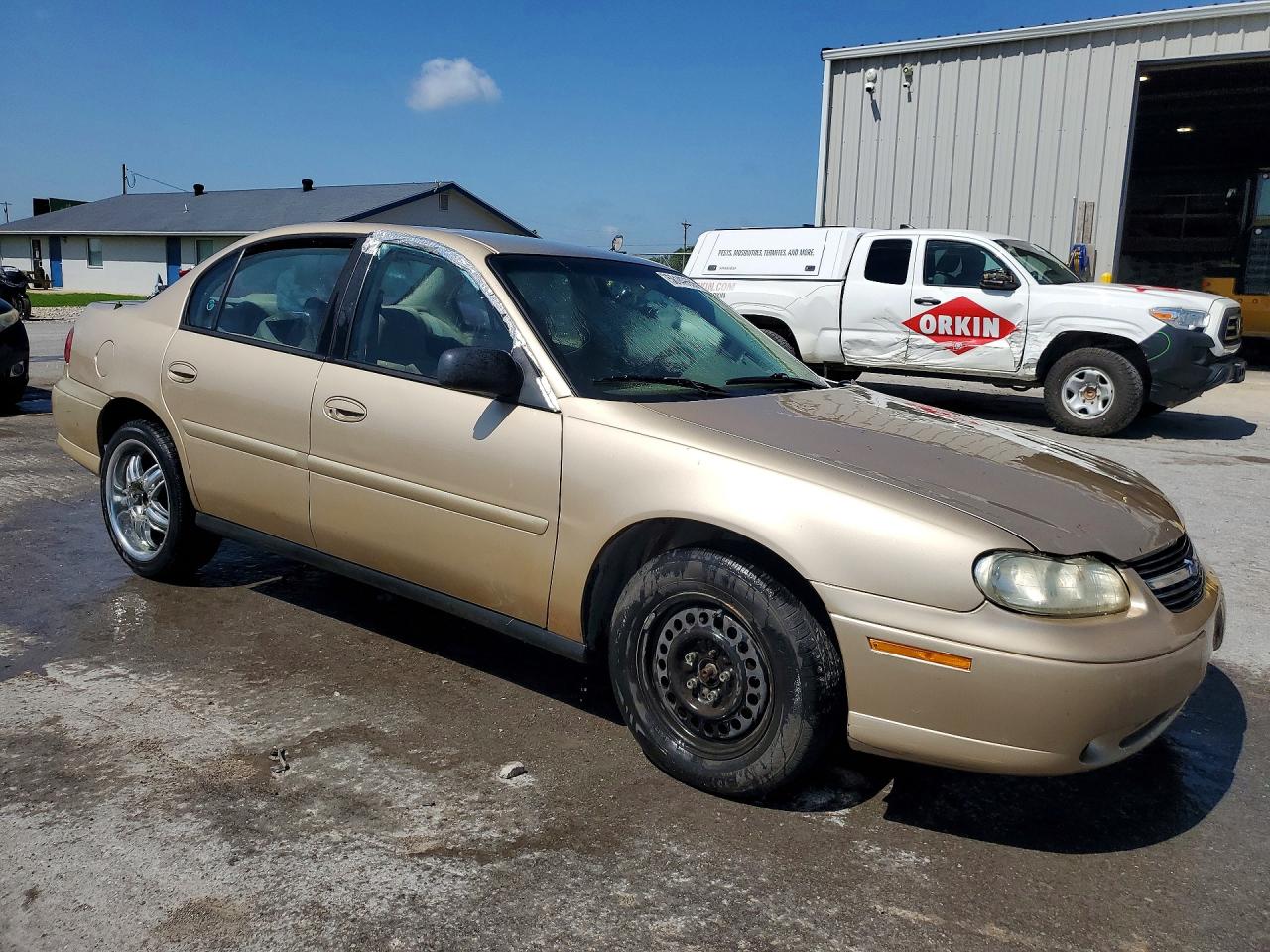 2004 Chevrolet Classic Gold vin: 1G1ND52F34M623645