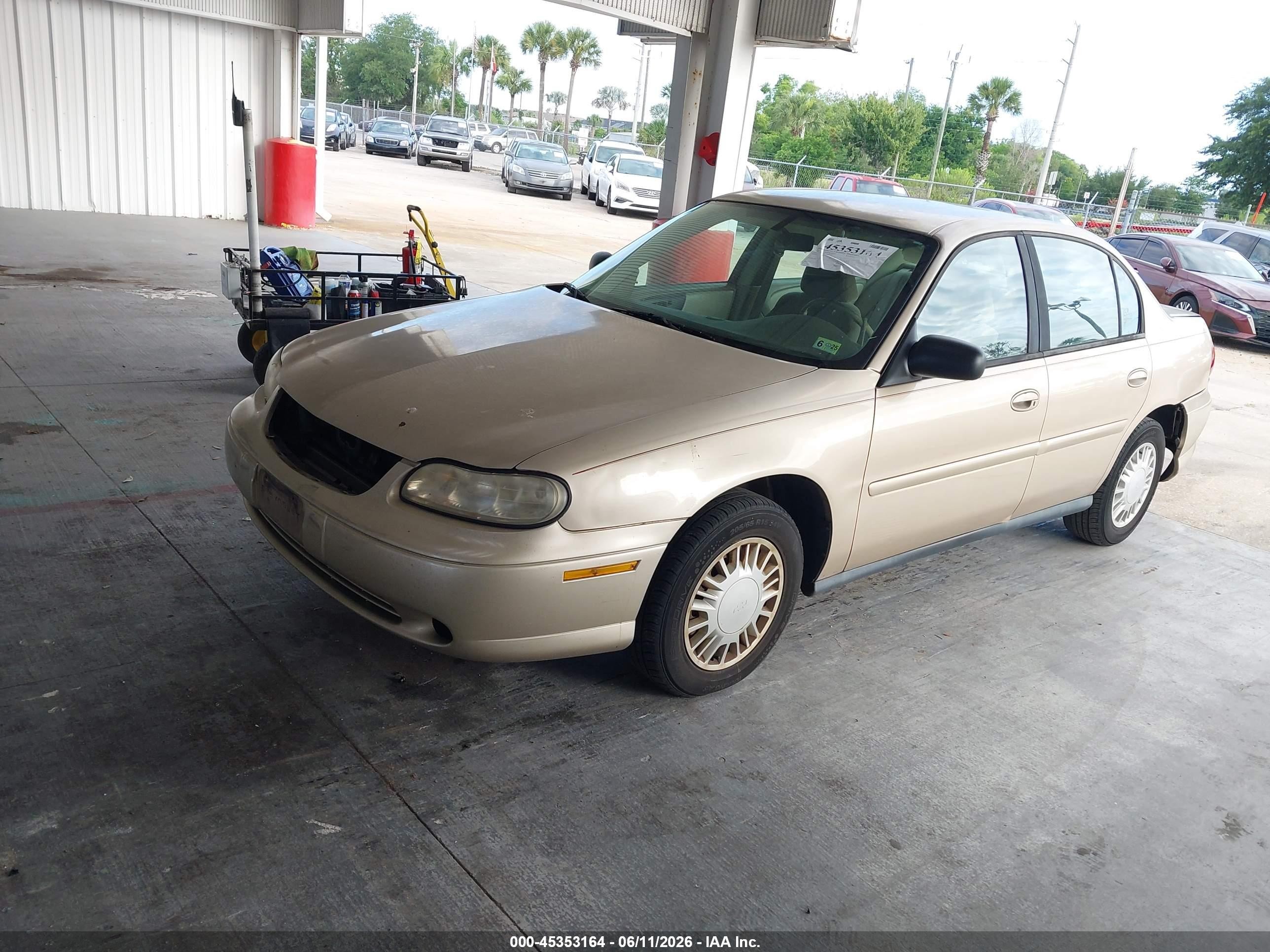 2005 Chevrolet Classic Gold vin: 1G1ND52F35M166806