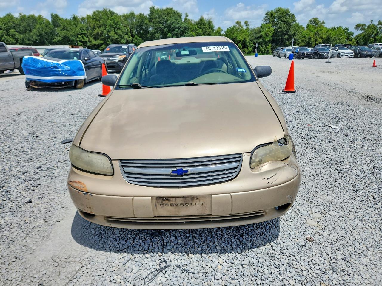 2005 Chevrolet Impala Золотой vin: 1G1ND52F45M203362