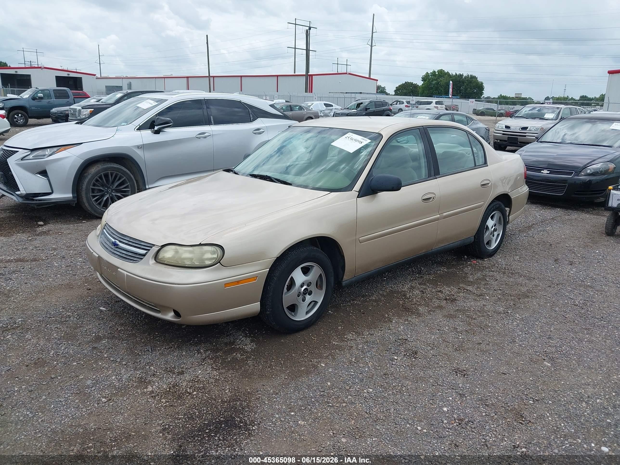 2004 Chevrolet Classic   Gold vin: 1G1ND52F54M626949