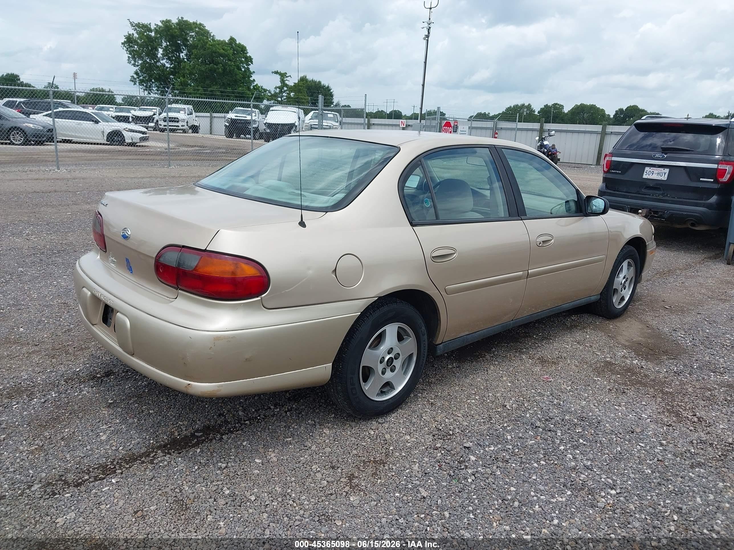 2004 Chevrolet Classic   Gold vin: 1G1ND52F54M626949