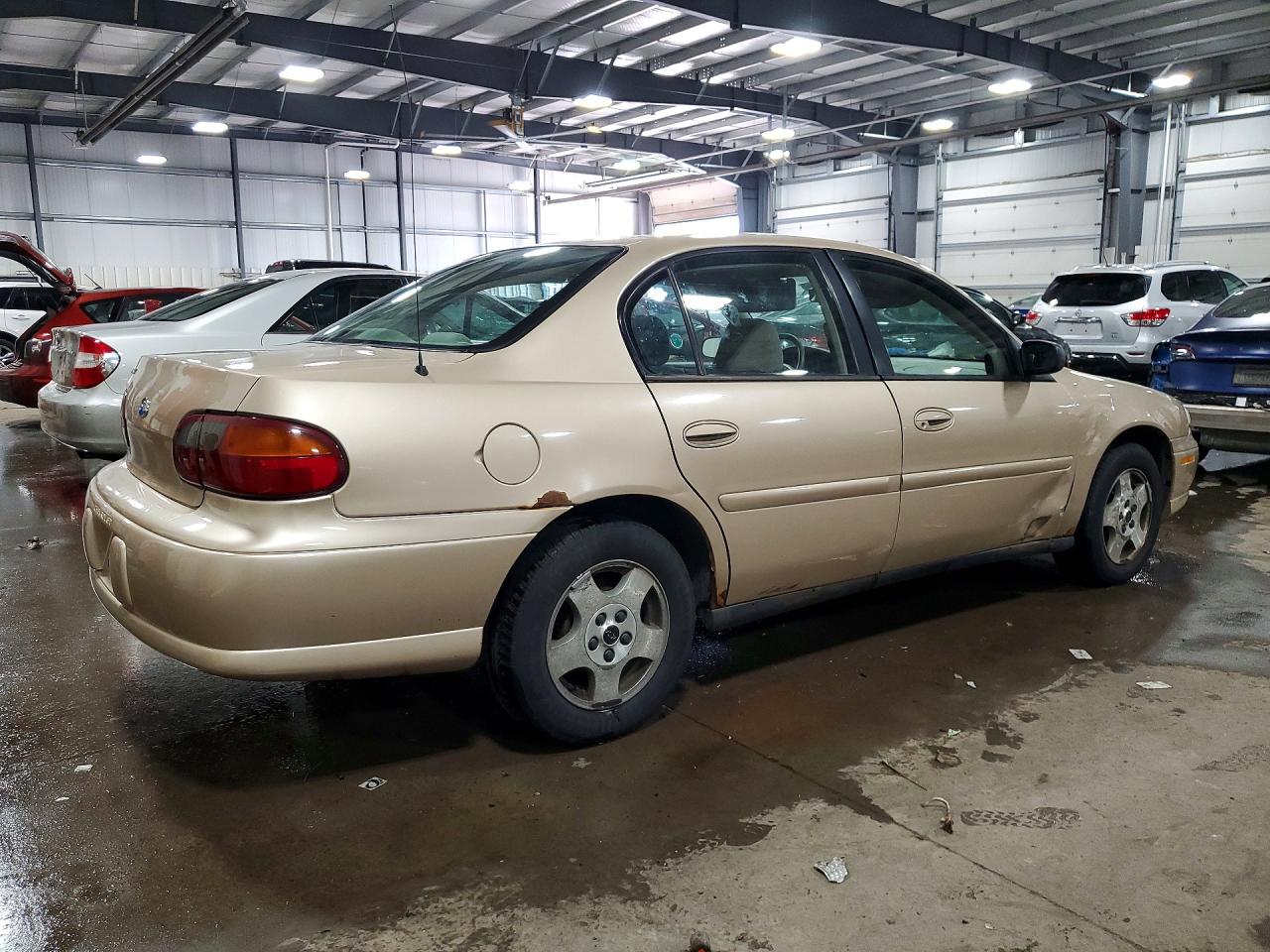 2004 Chevrolet Classic Желто-коричневый vin: 1G1ND52F54M706624