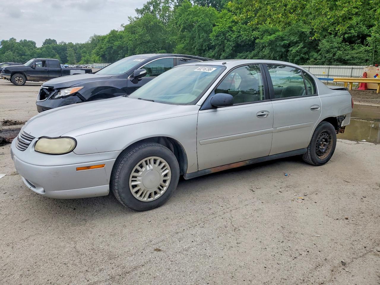 2005 Chevrolet Classic Silver vin: 1G1ND52F65M119656