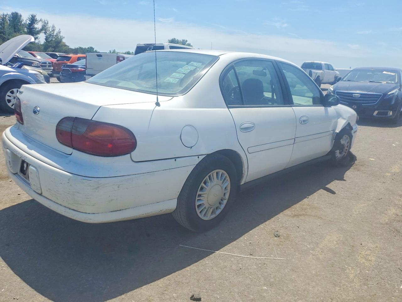 2005 Chevrolet Classic White vin: 1G1ND52F65M213018