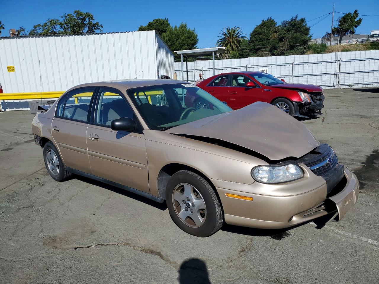 2004 Chevrolet Classic Tan vin: 1G1ND52F74M575146