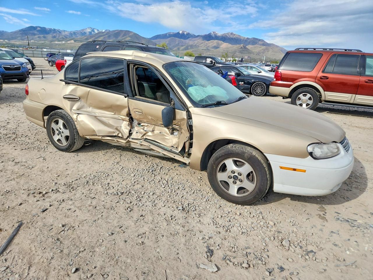 2004 Chevrolet Classic Beige vin: 1G1ND52F74M703756