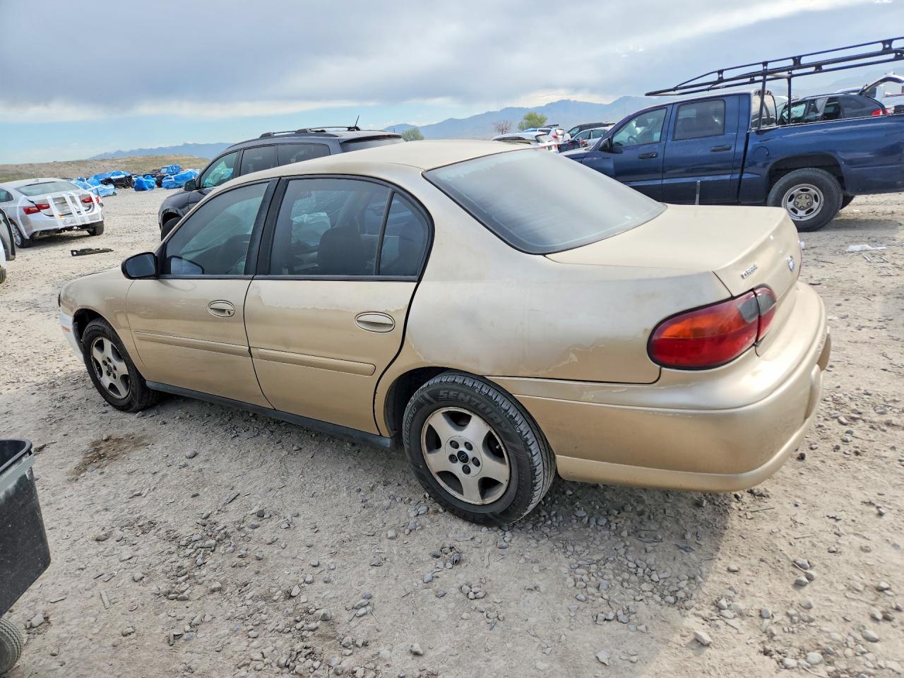 2004 Chevrolet Classic Beige vin: 1G1ND52F74M703756