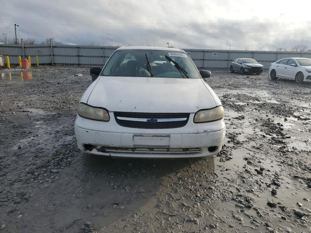 2005 Chevrolet Classic White vin: 1G1ND52F75M162211