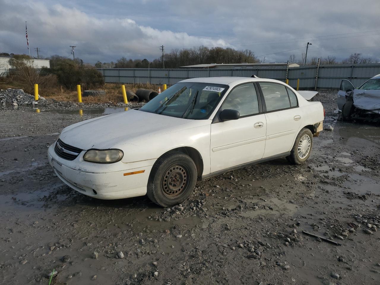 2005 Chevrolet Classic White vin: 1G1ND52F75M162211