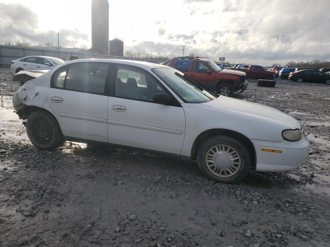 2005 Chevrolet Classic White vin: 1G1ND52F75M162211
