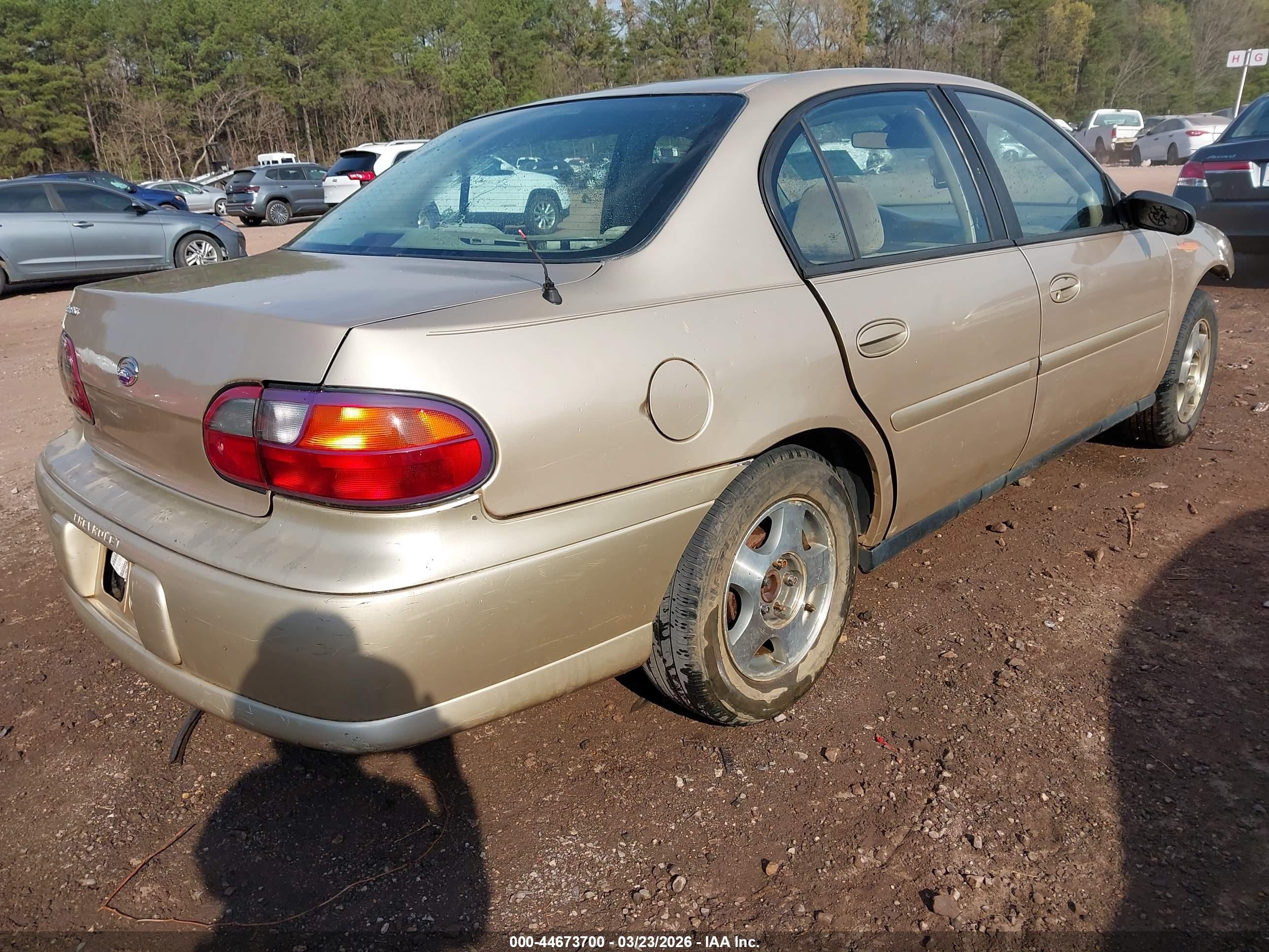 2005 Chevrolet Classic   Beige vin: 1G1ND52F85M134823