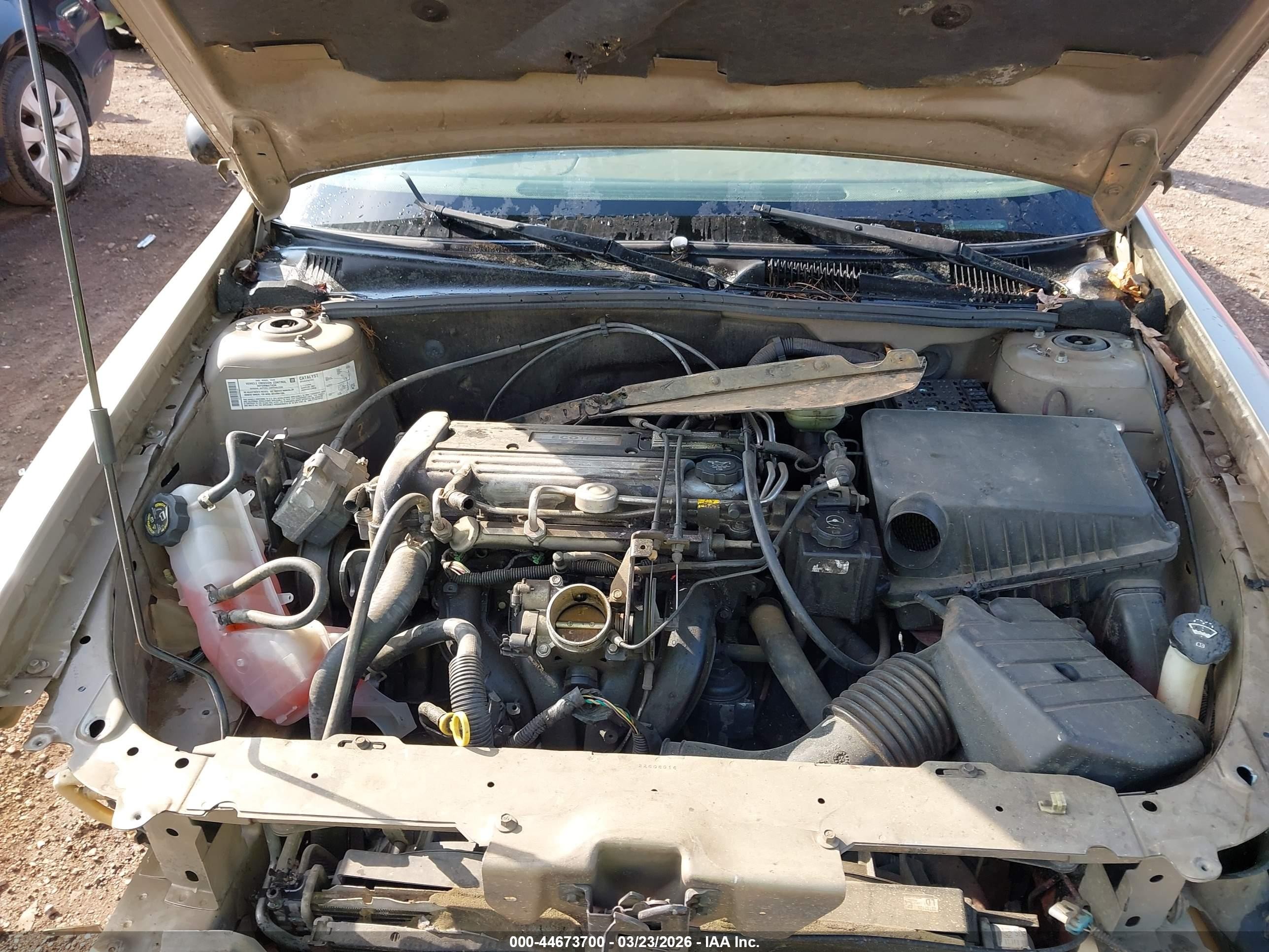 2005 Chevrolet Classic   Beige vin: 1G1ND52F85M134823