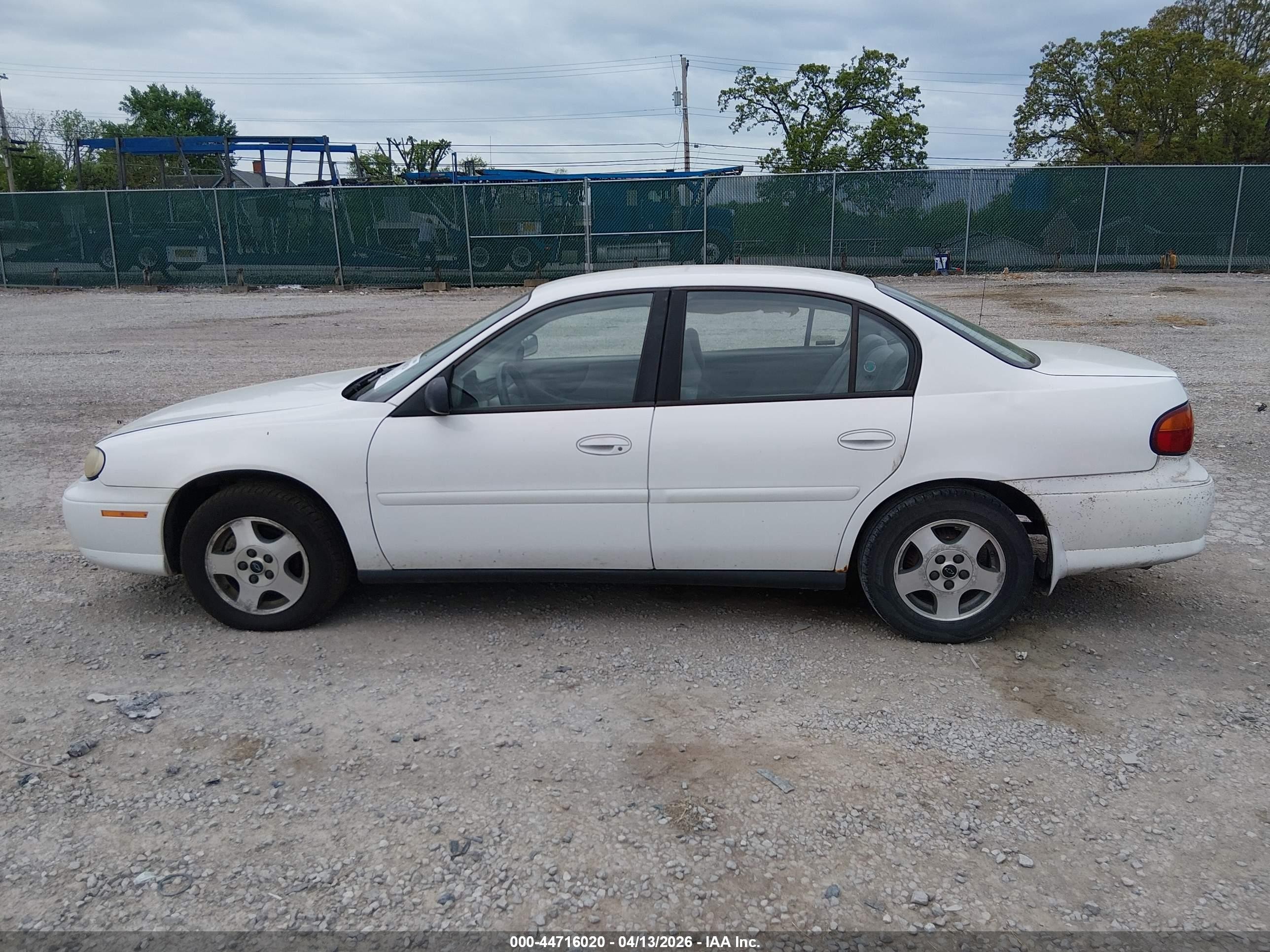 2005 Chevrolet Classic Белый vin: 1G1ND52F85M143313