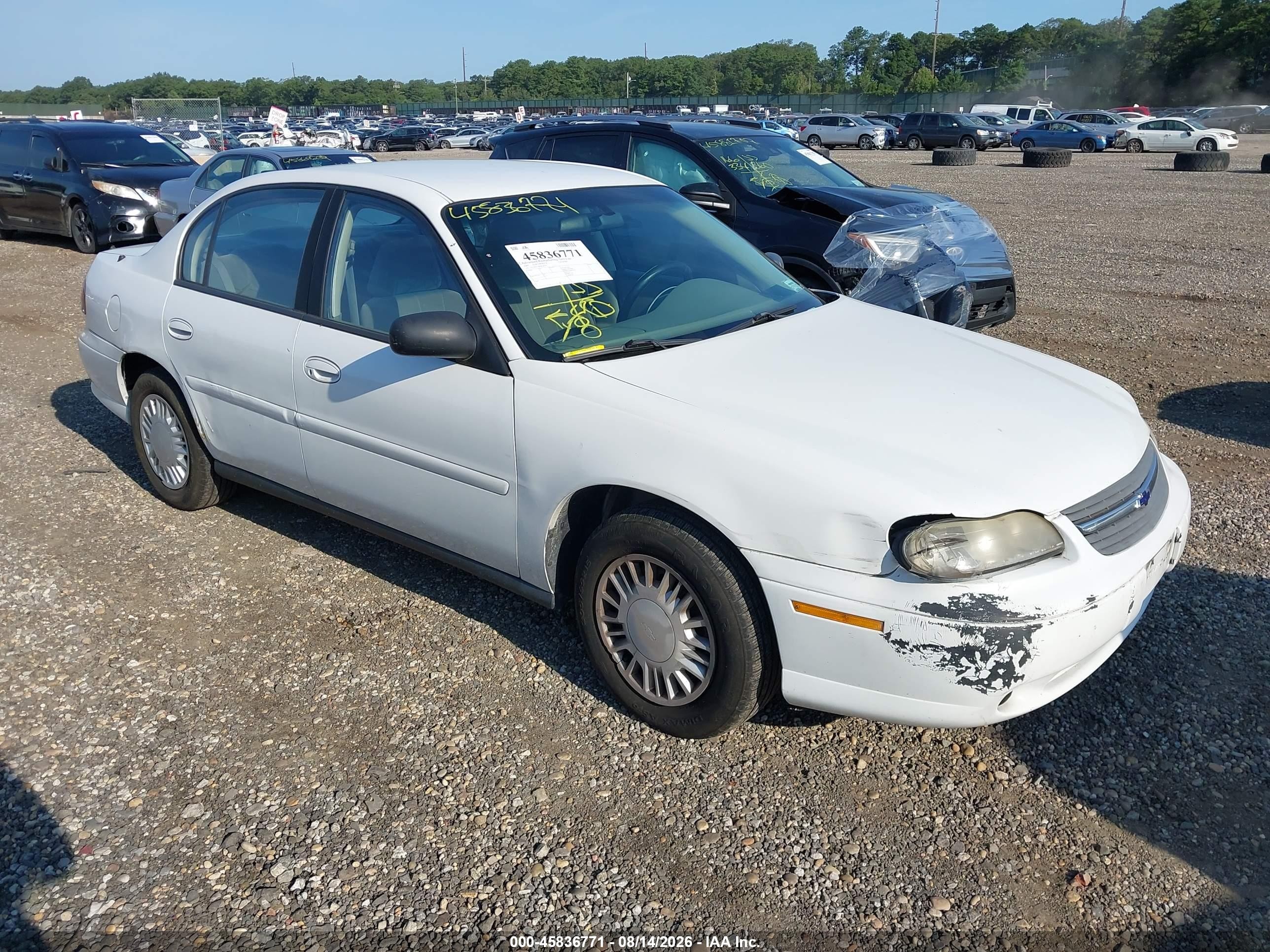2005 Chevrolet Classic   Белый vin: 1G1ND52F85M156787