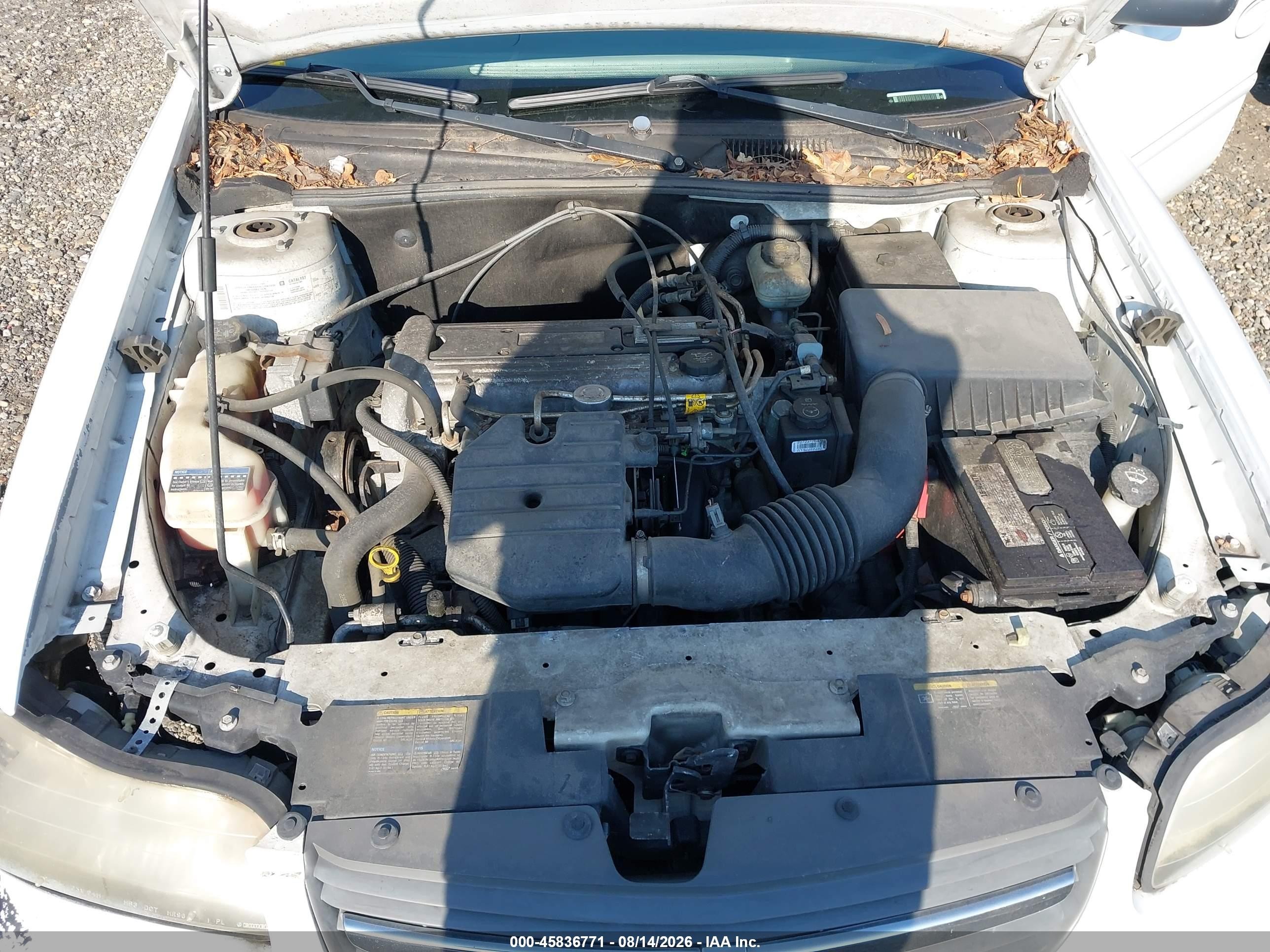 2005 Chevrolet Classic   Белый vin: 1G1ND52F85M156787